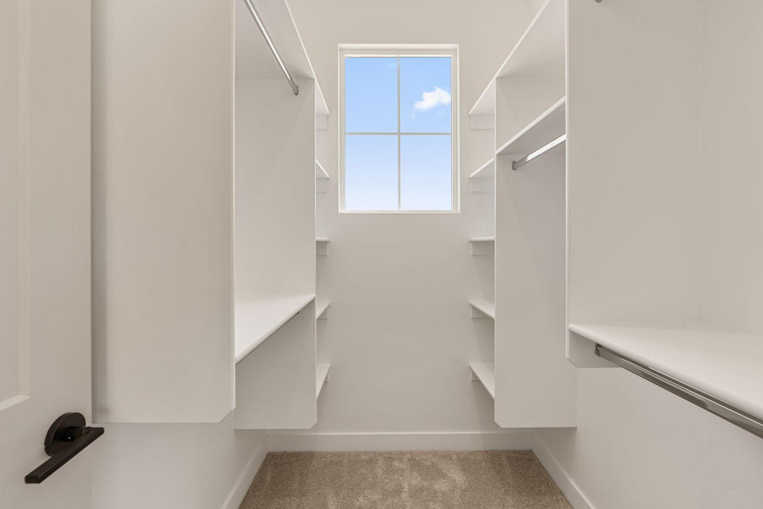 Walk-in closet featuring built-in shelving, hanging rods, an exterior window, and carpeting