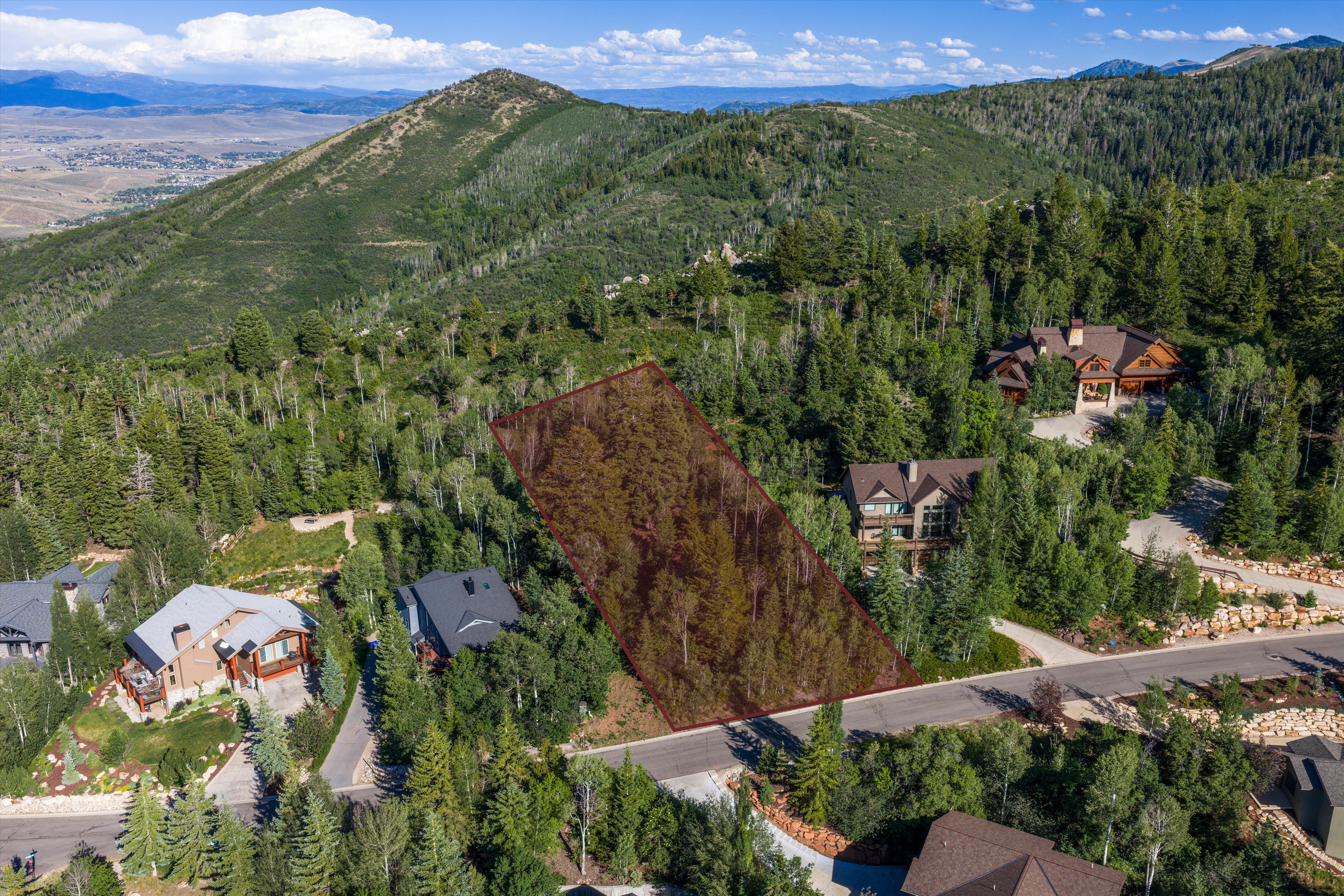 Wooded lot featuring mature trees and a paved road frontage