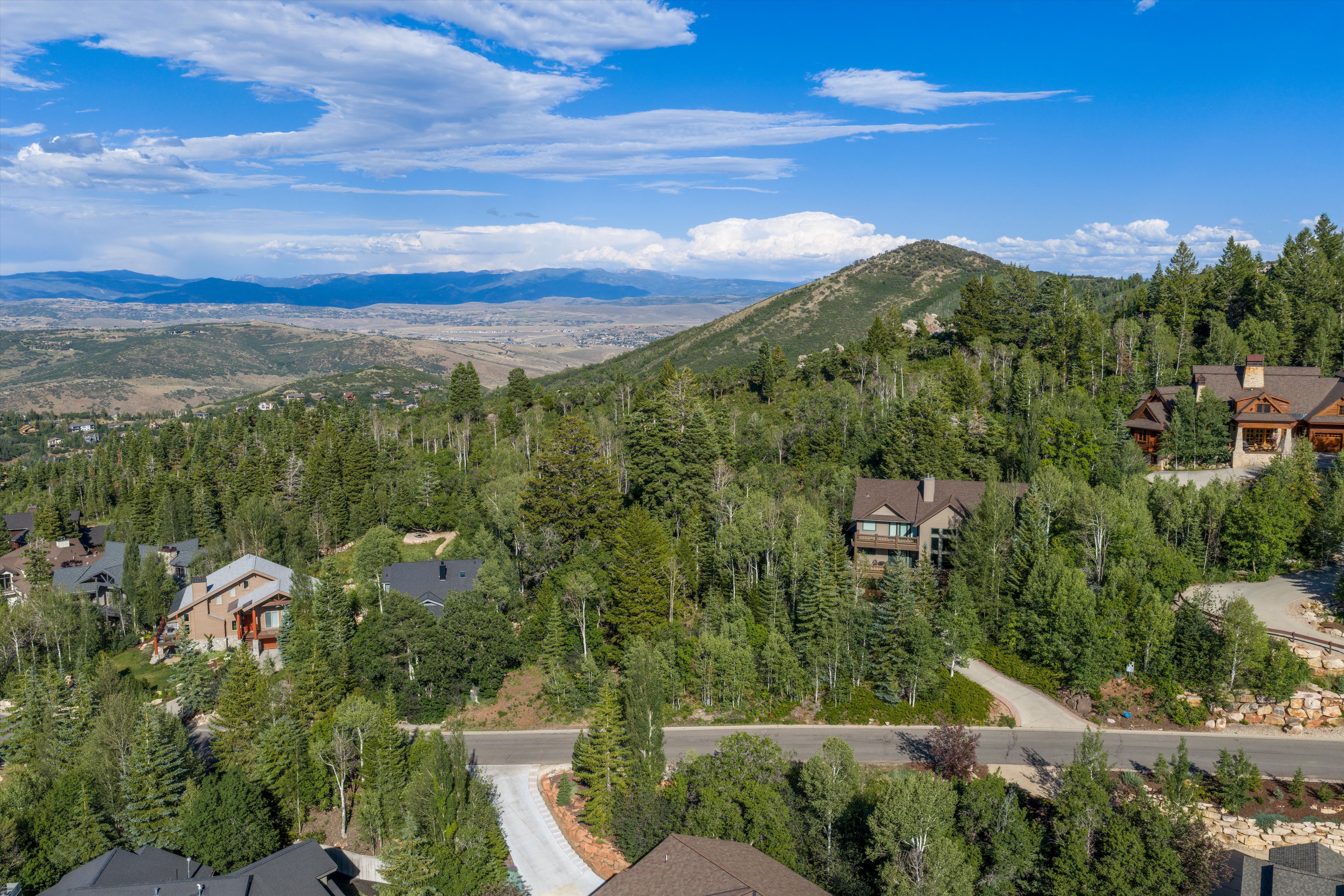 Mountain landscape featuring multiple properties nestled among mature trees and a paved roadway