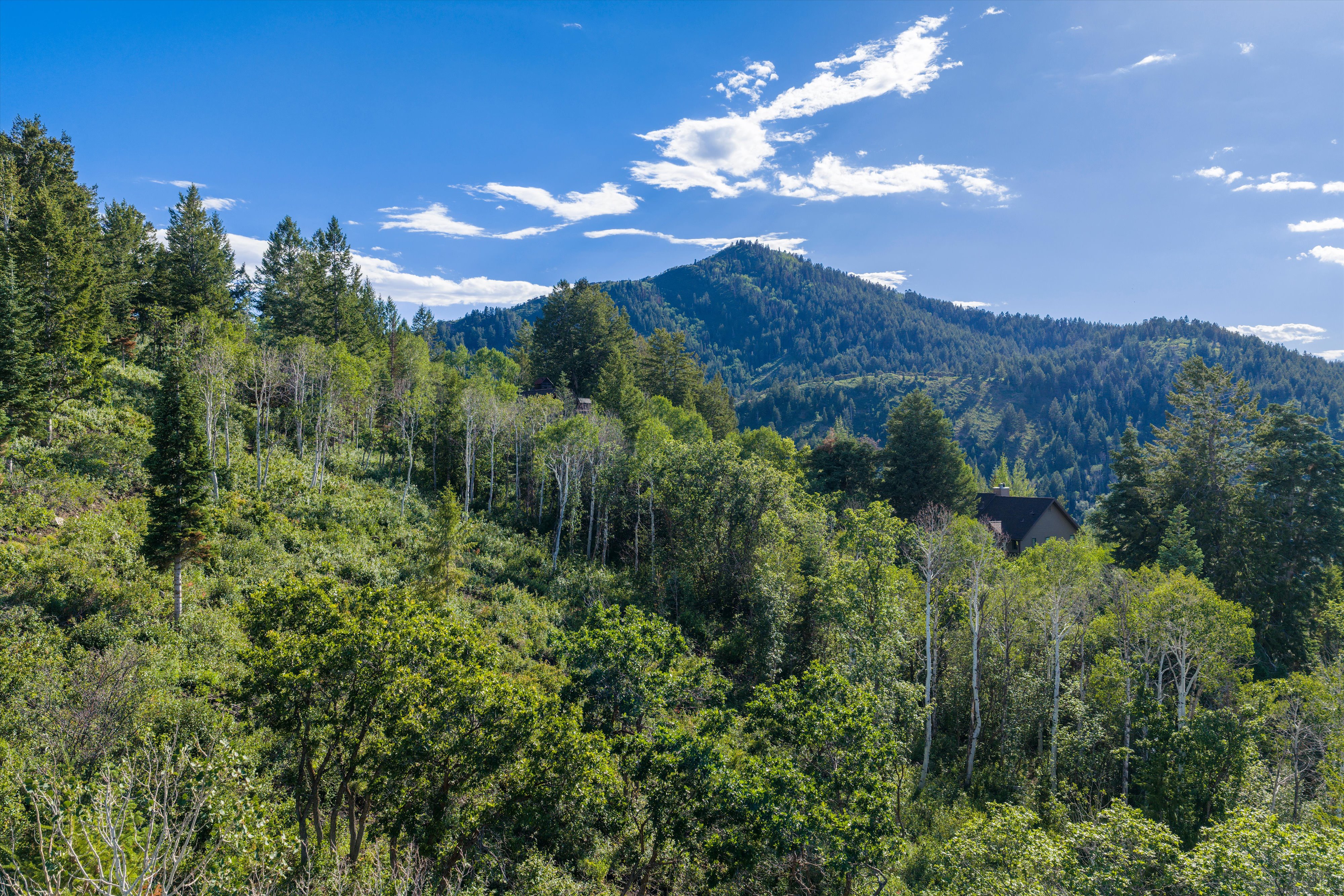 Mountain view