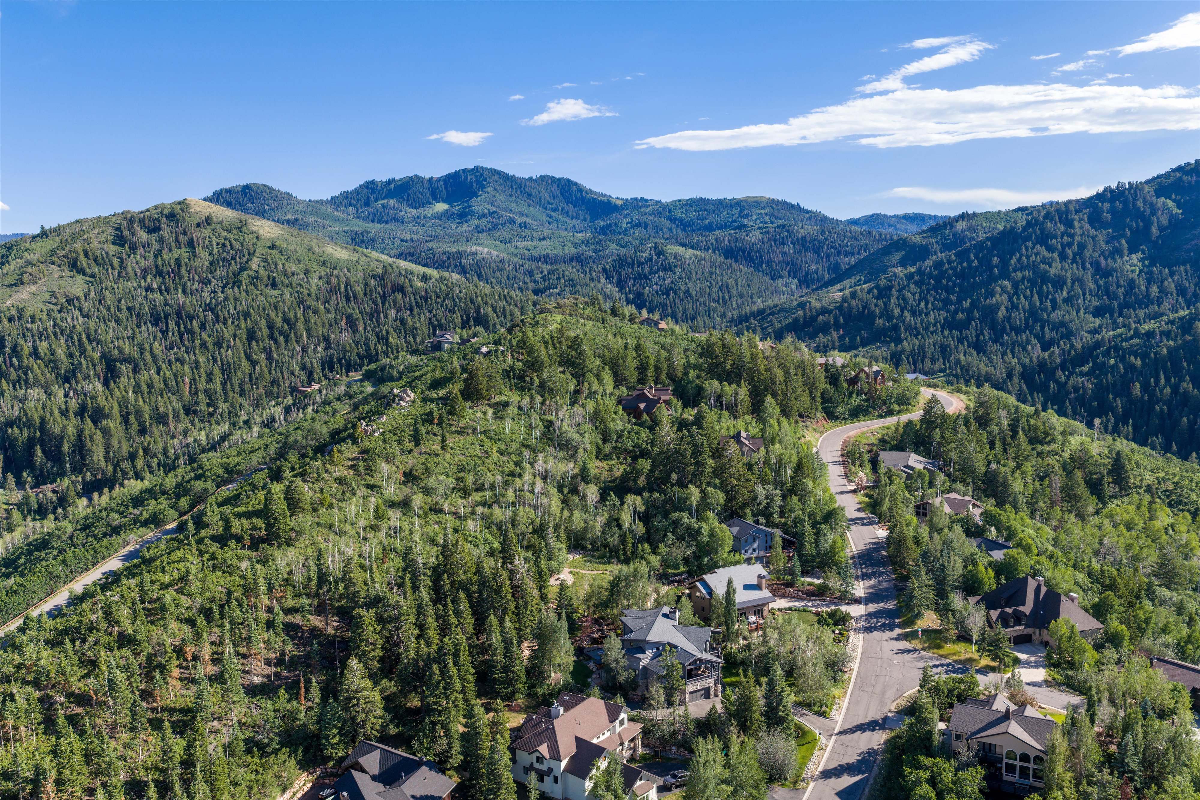 Mountain landscape featuring dense evergreen forests and winding roads
