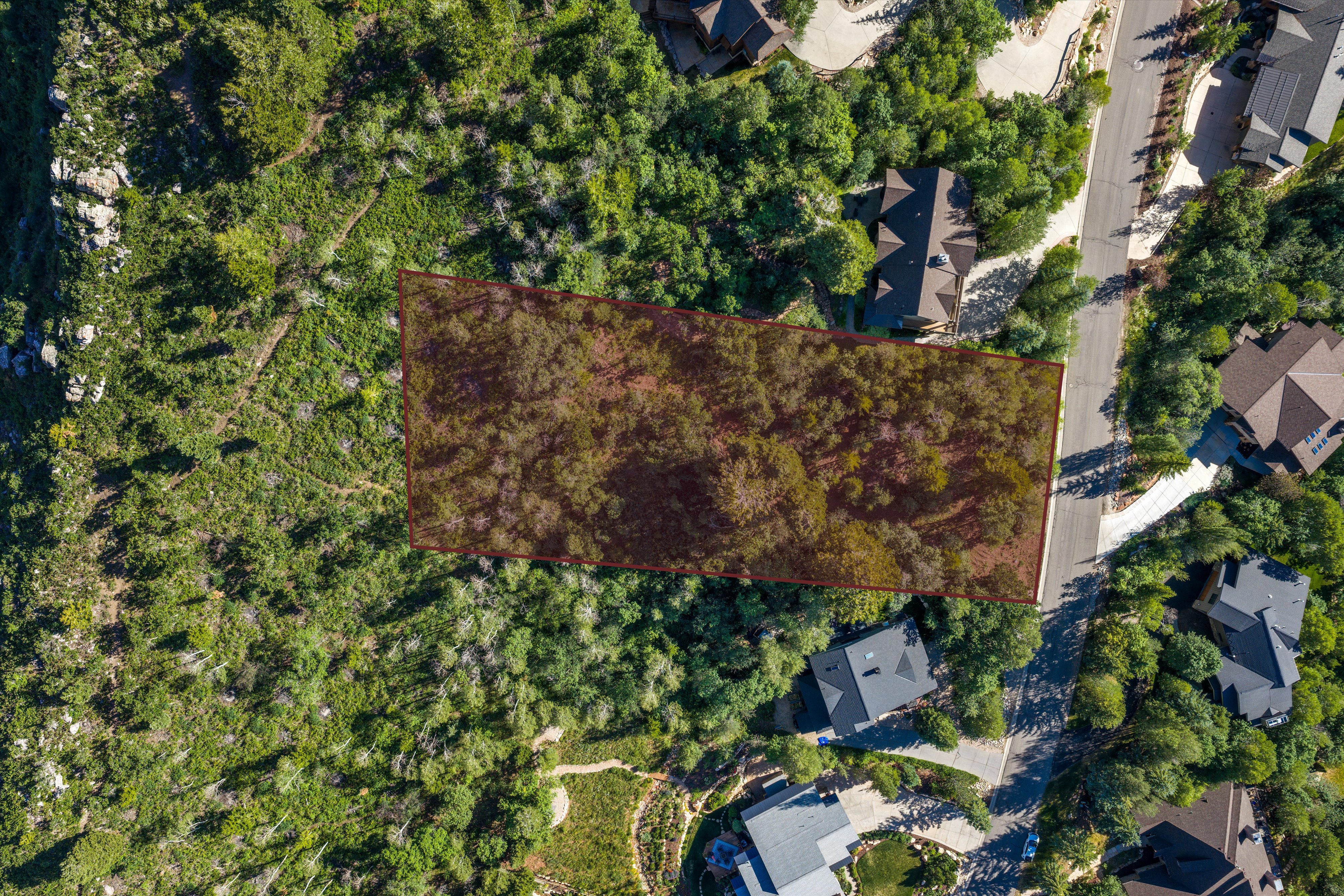 Expansive wooded lot with defined boundaries
