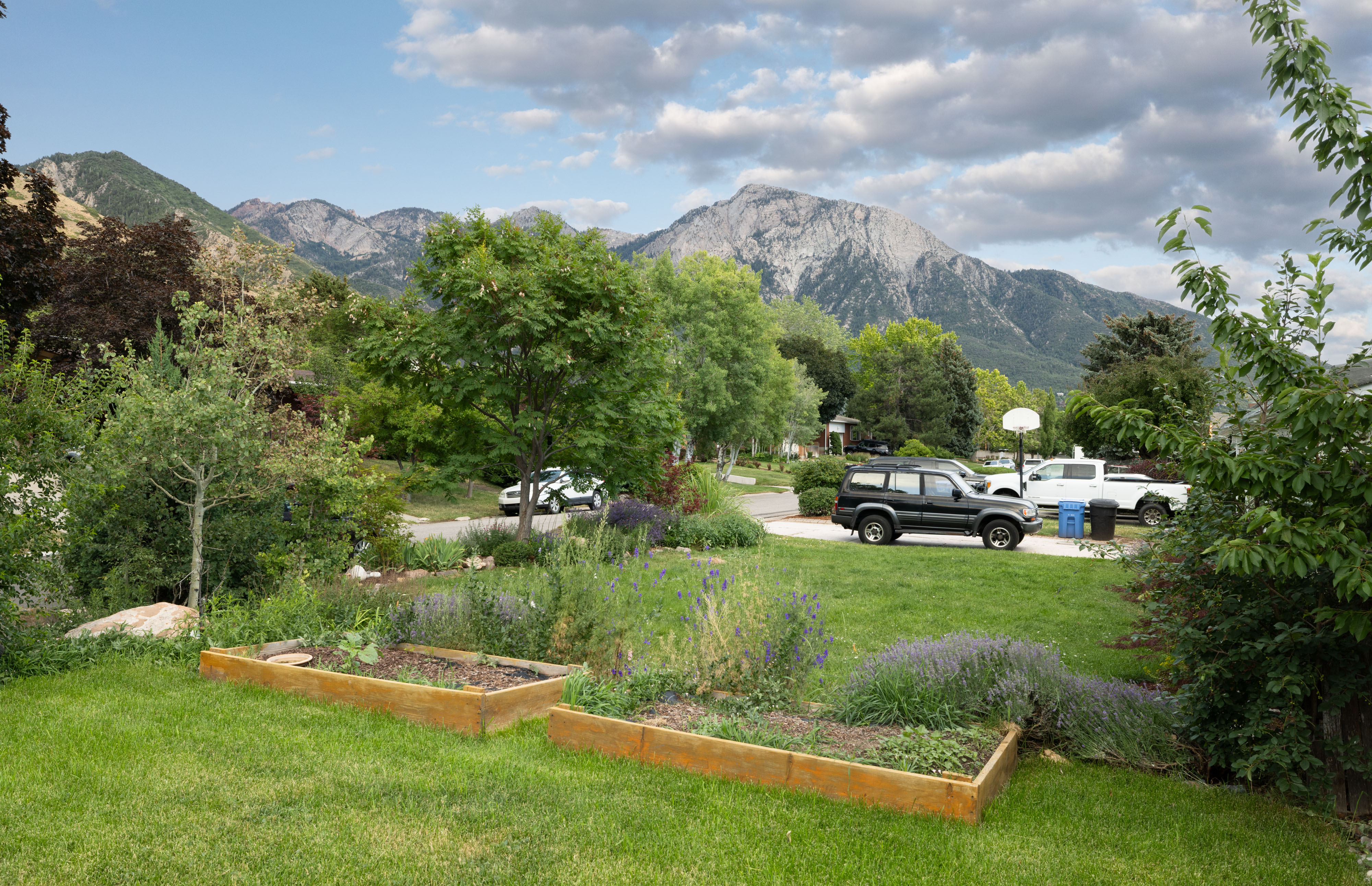 Manicured lawn with two raised garden beds, surrounded by mature trees and mountain scenery
