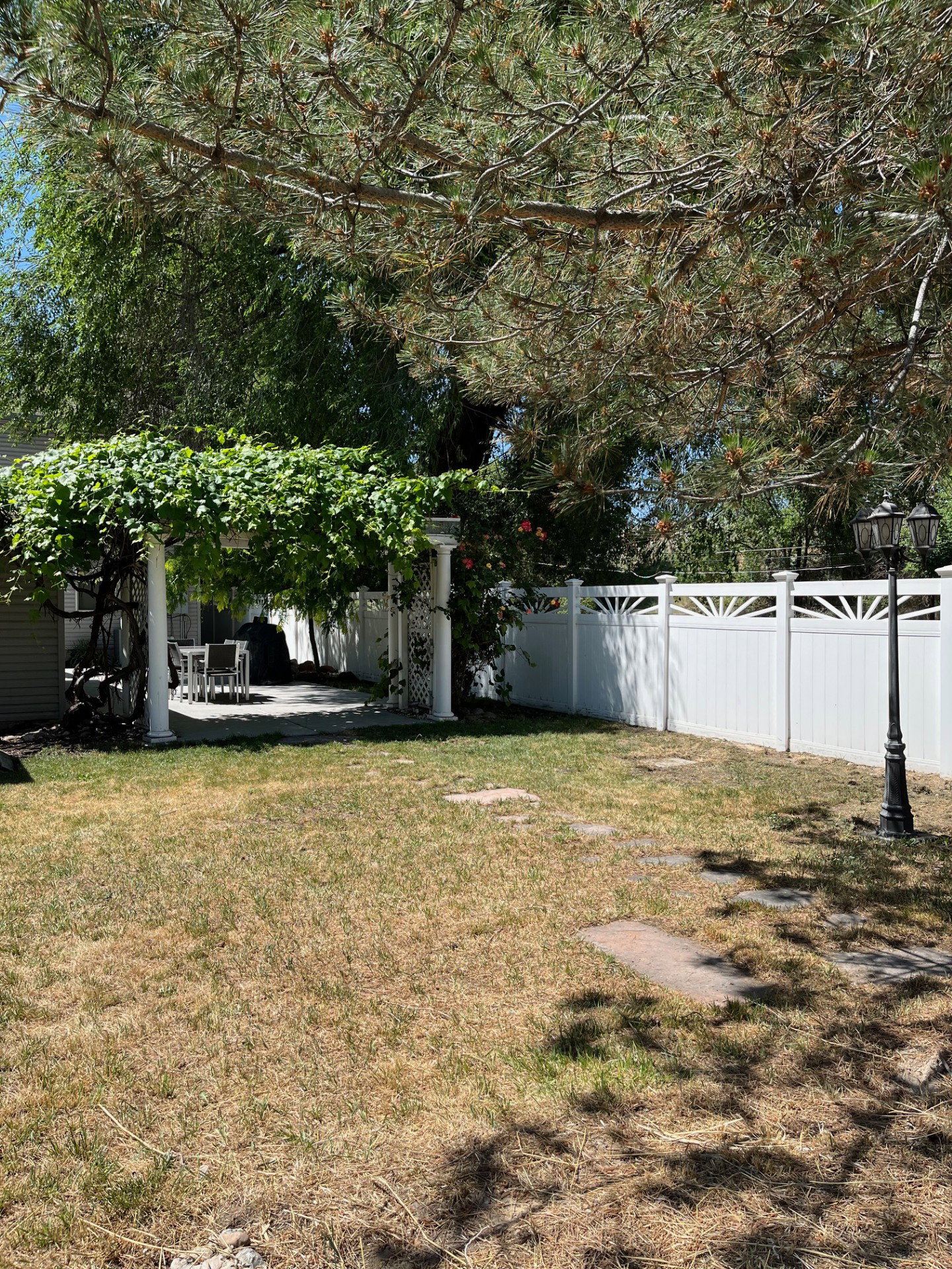 Expansive outdoor patio featuring a vine-covered pergola, paved flooring, and white privacy fencing