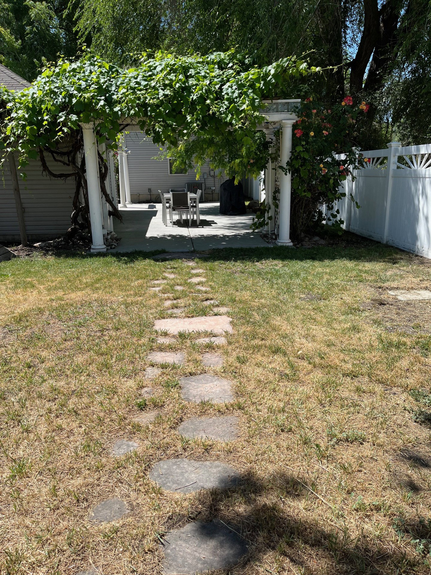 Yard
