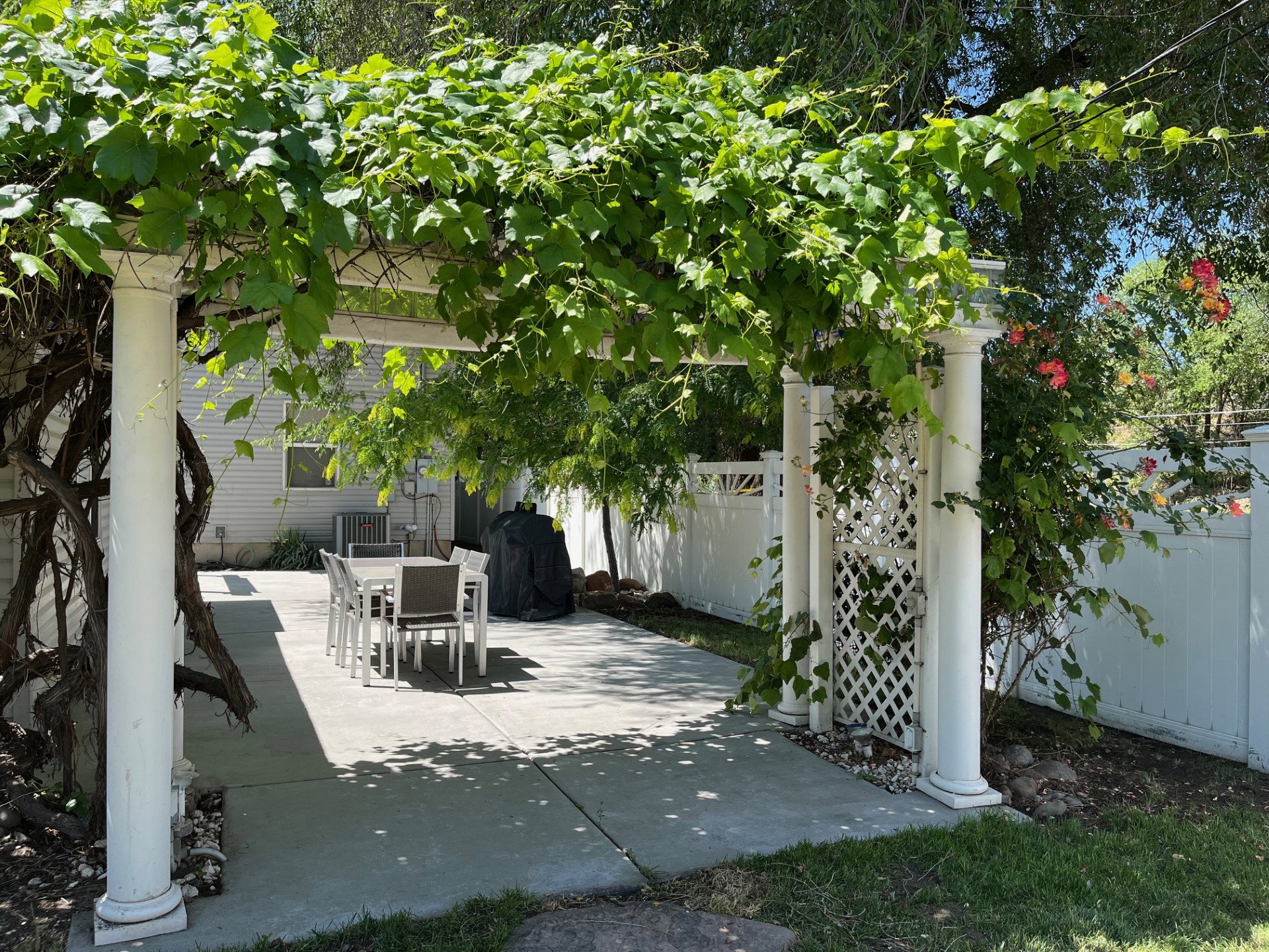 Patio terrace