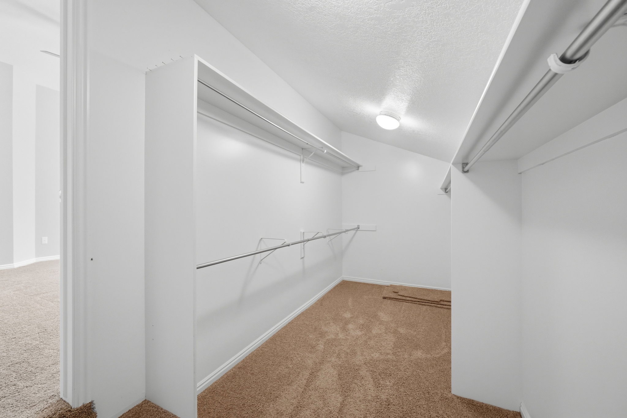 Walk-in closet featuring light brown carpeting, white walls, built-in shelving, and metal hanging rods