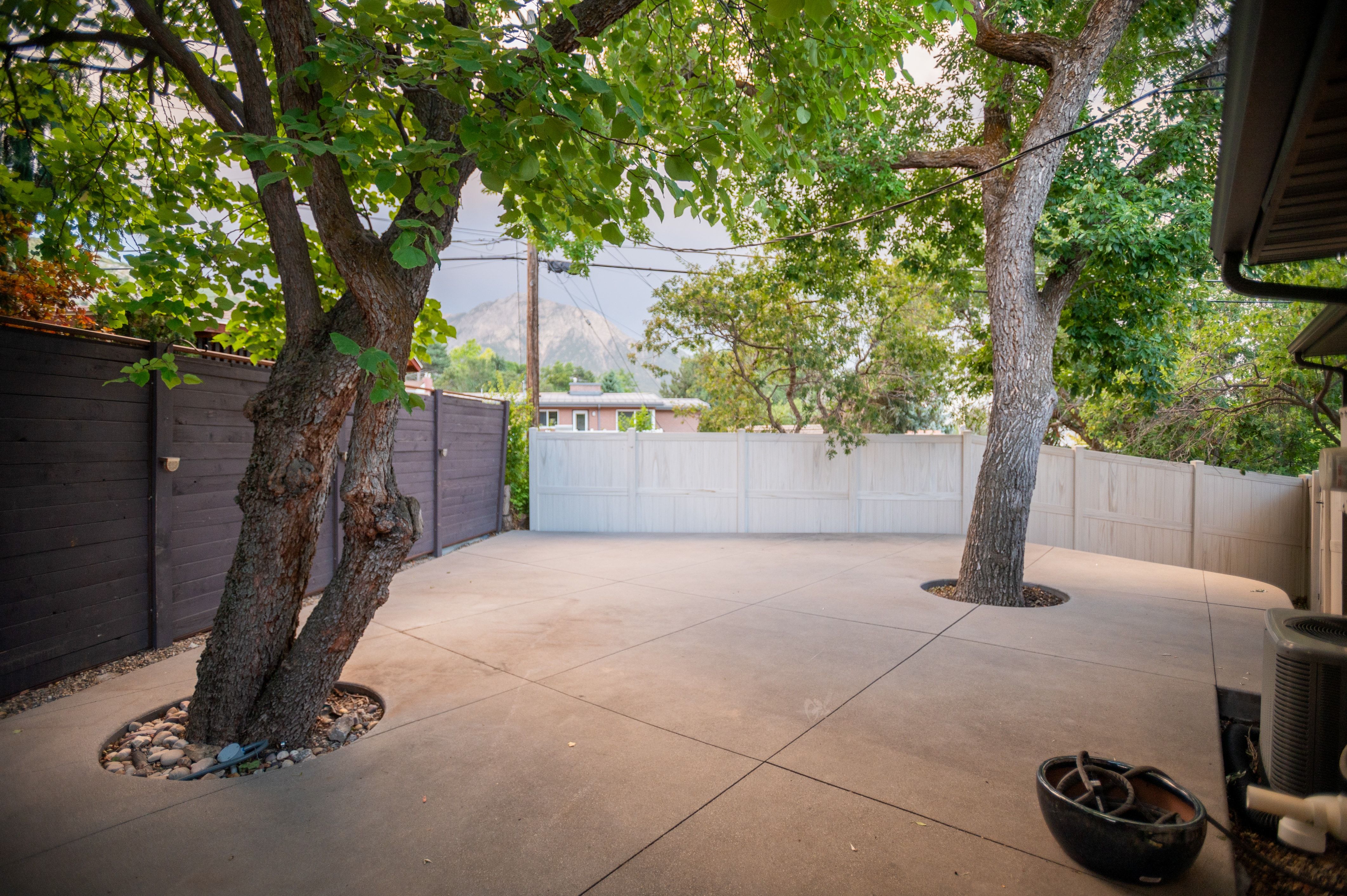 Paved patio area featuring mature trees integrated into the concrete, surrounded by a privacy fence