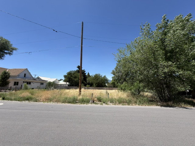 Expansive undeveloped lot featuring natural vegetation and mature trees, offering significant potential