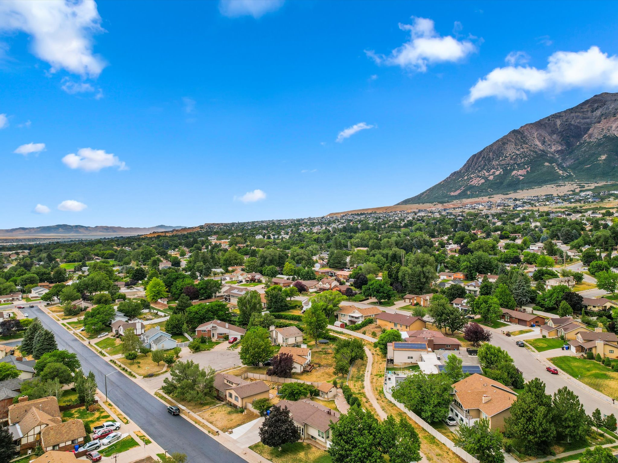 Residential area featuring tree-lined streets and a prominent mountain backdrop