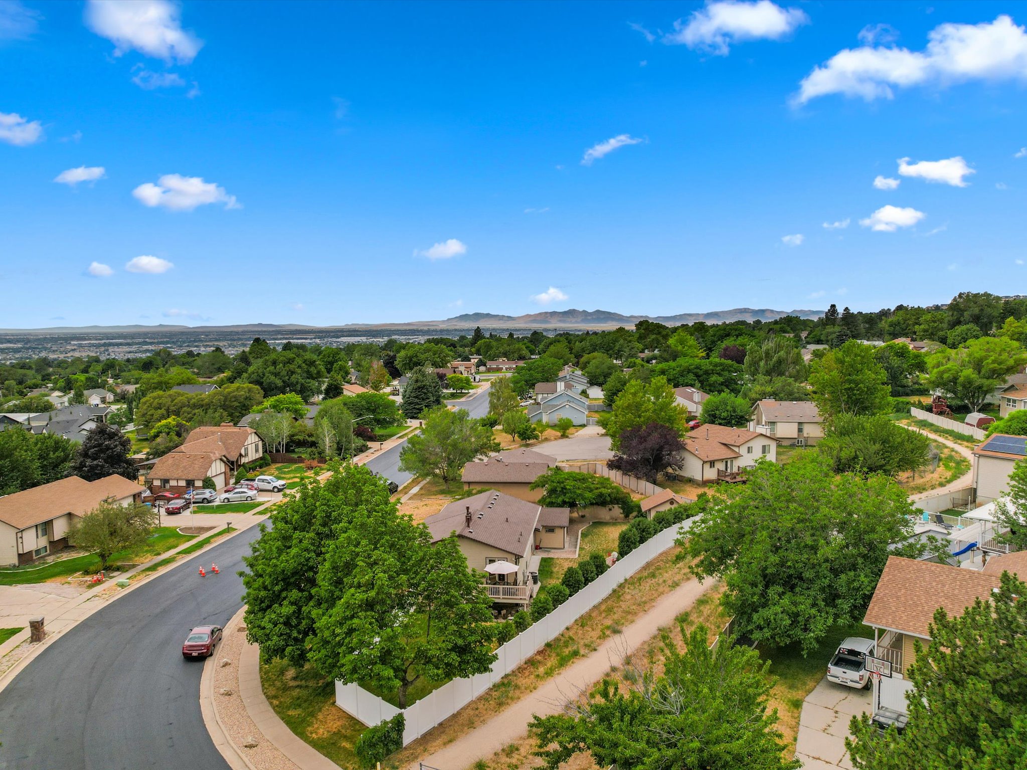 Residential street featuring mature trees and established landscaping