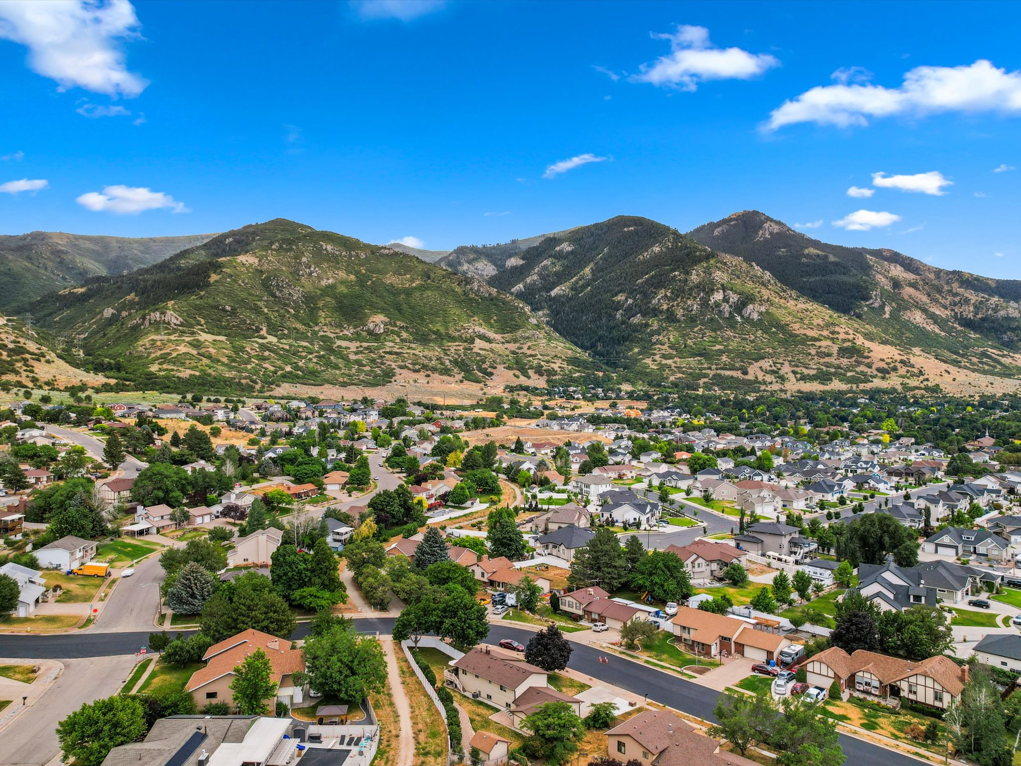 Expansive residential community featuring diverse housing styles and mature landscaping