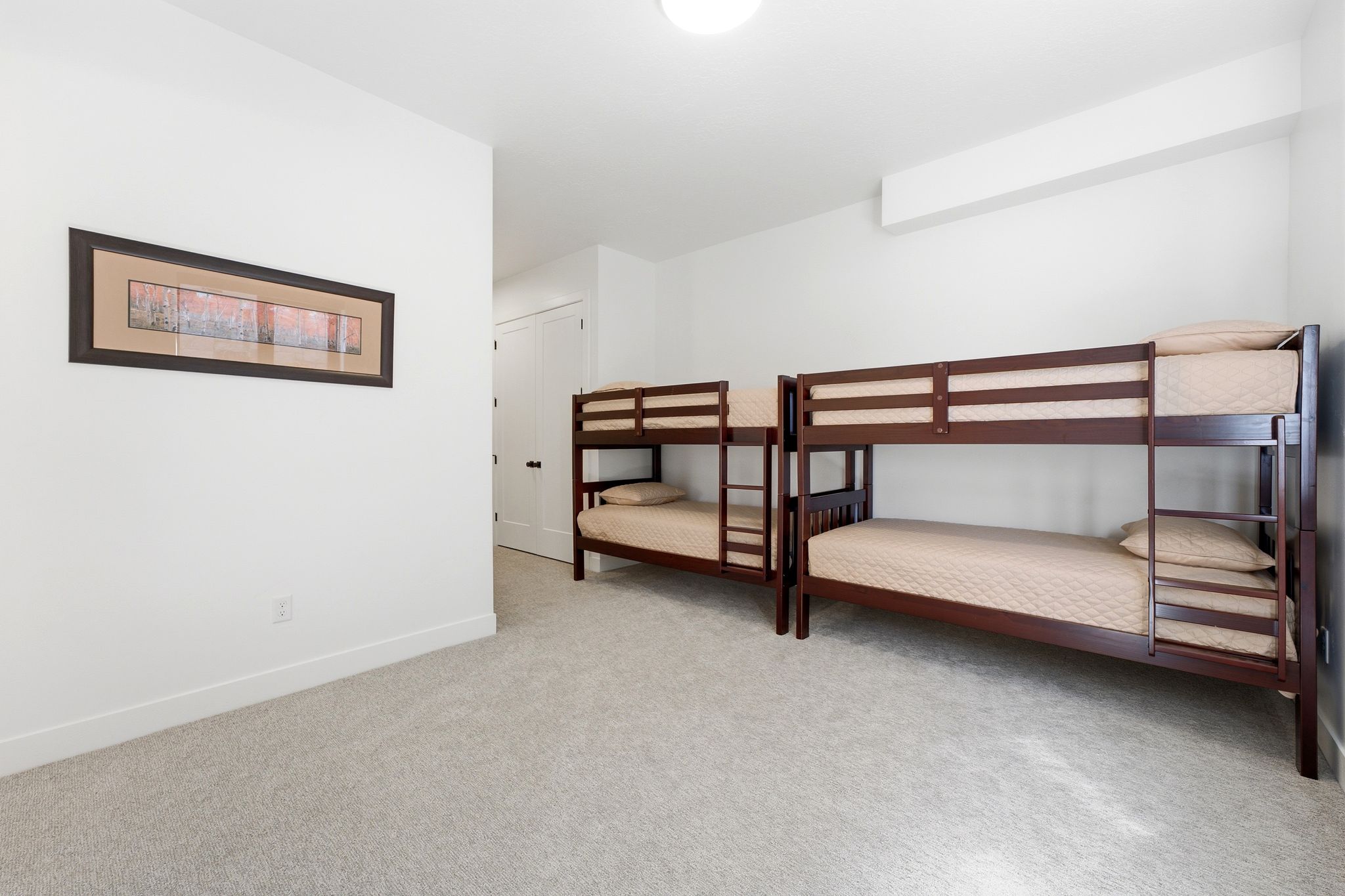 Carpeted room featuring white walls, a flush-mount ceiling light, and a white interior door with dark hardware