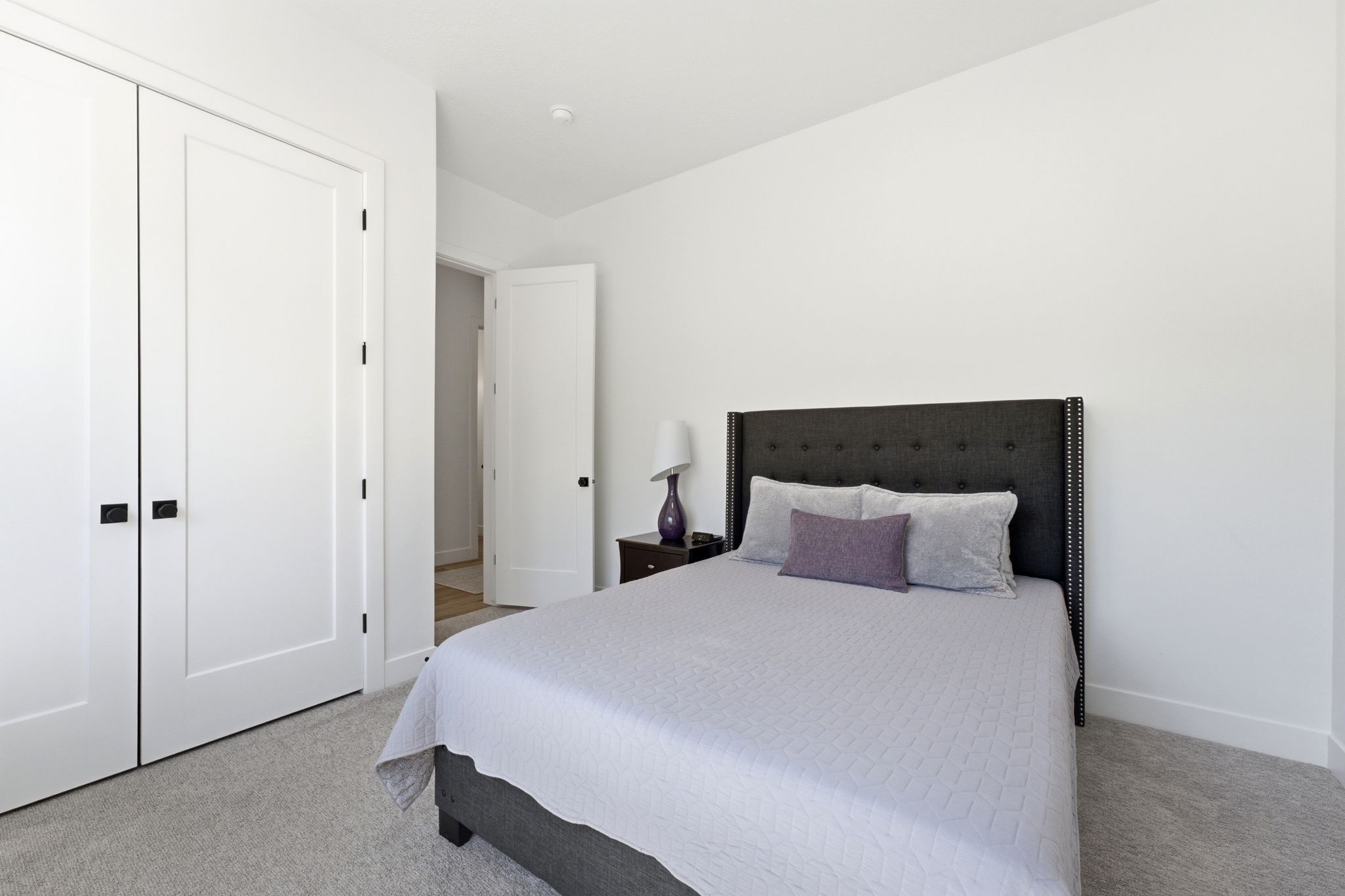 Light-filled room featuring plush gray carpeting, white walls, and bright white trim