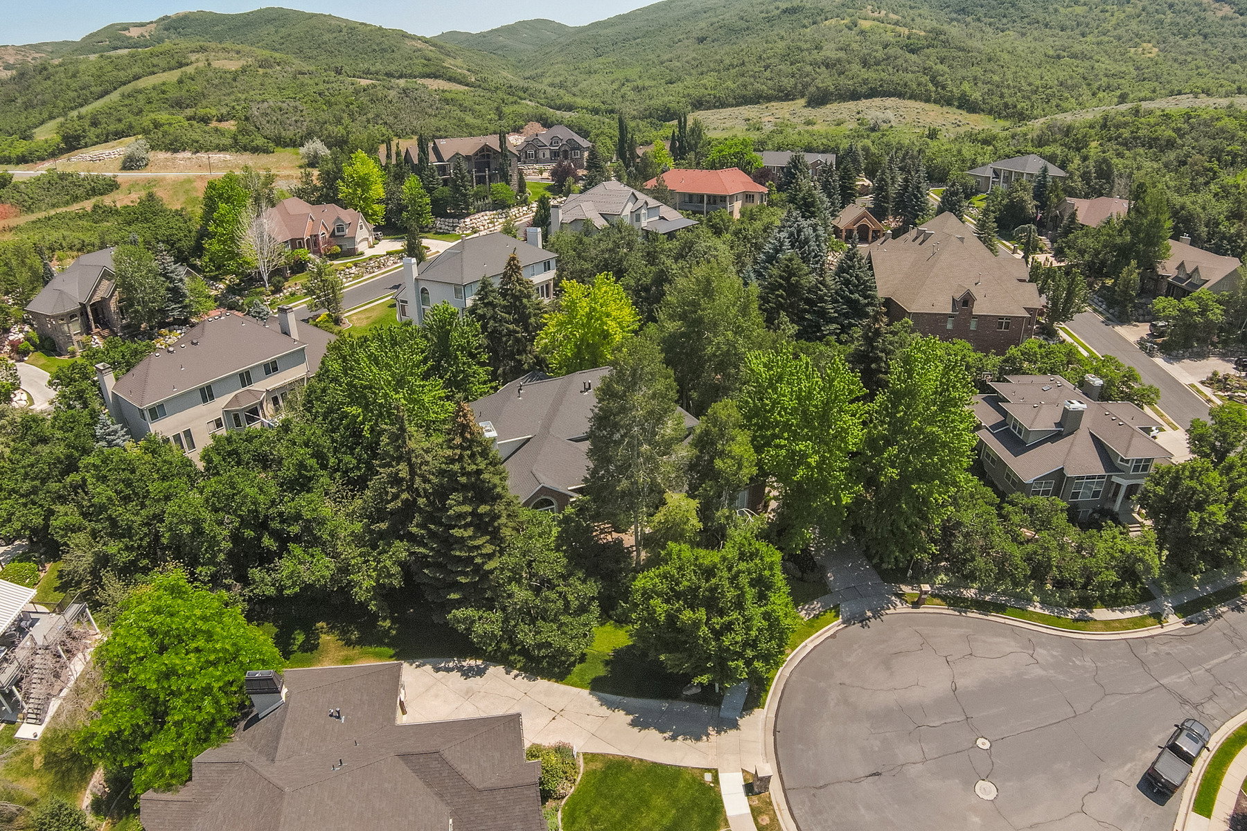 Aerial perspective of a tree-lined residential area with a curved street