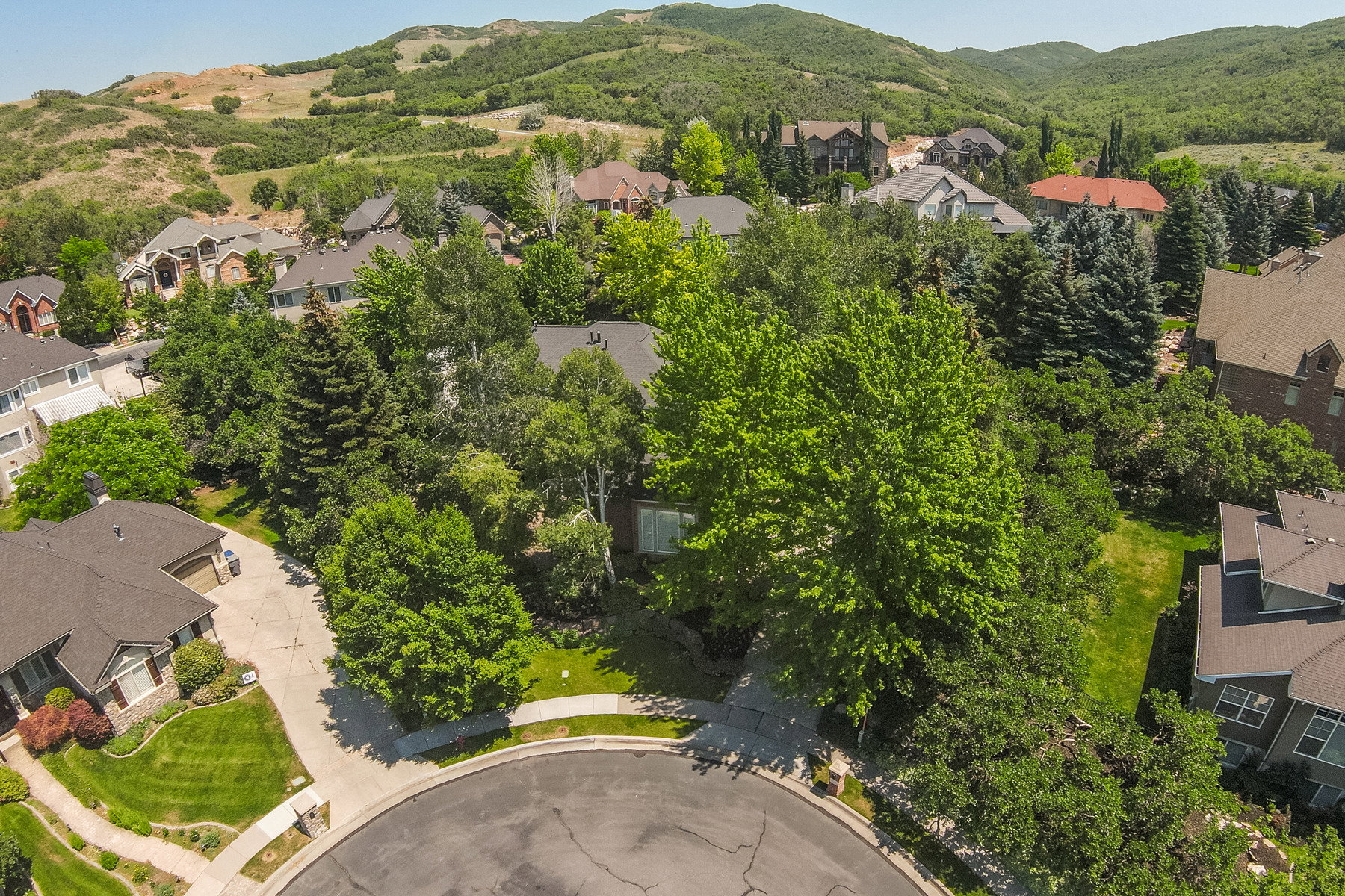 Ariel view of the property looking up to National Forest Service