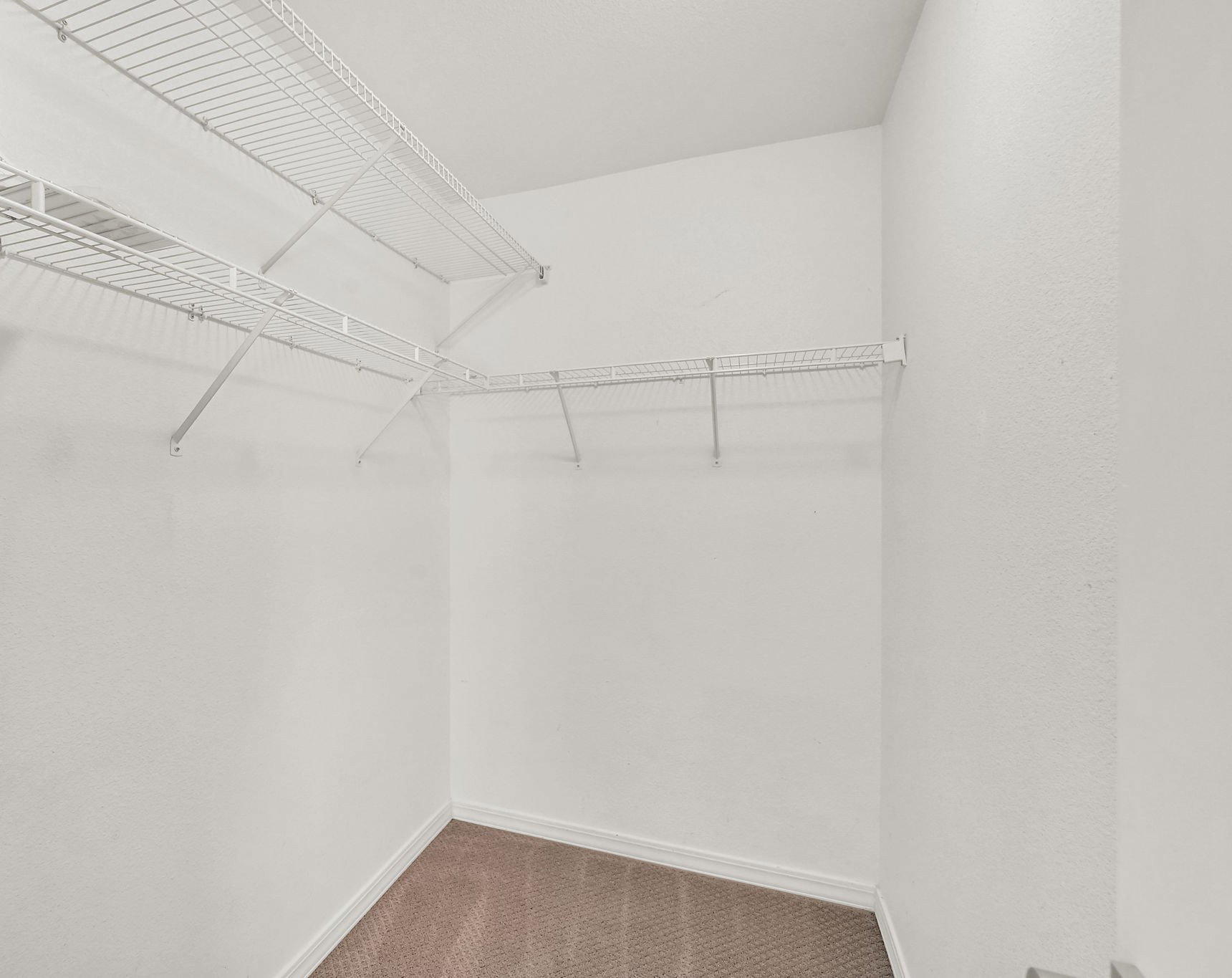 BEDROOM 5 OVERSIZED Walk-in closet featuring white wire shelving, white textured walls, white baseboards, and modern warm sand carpet flooring