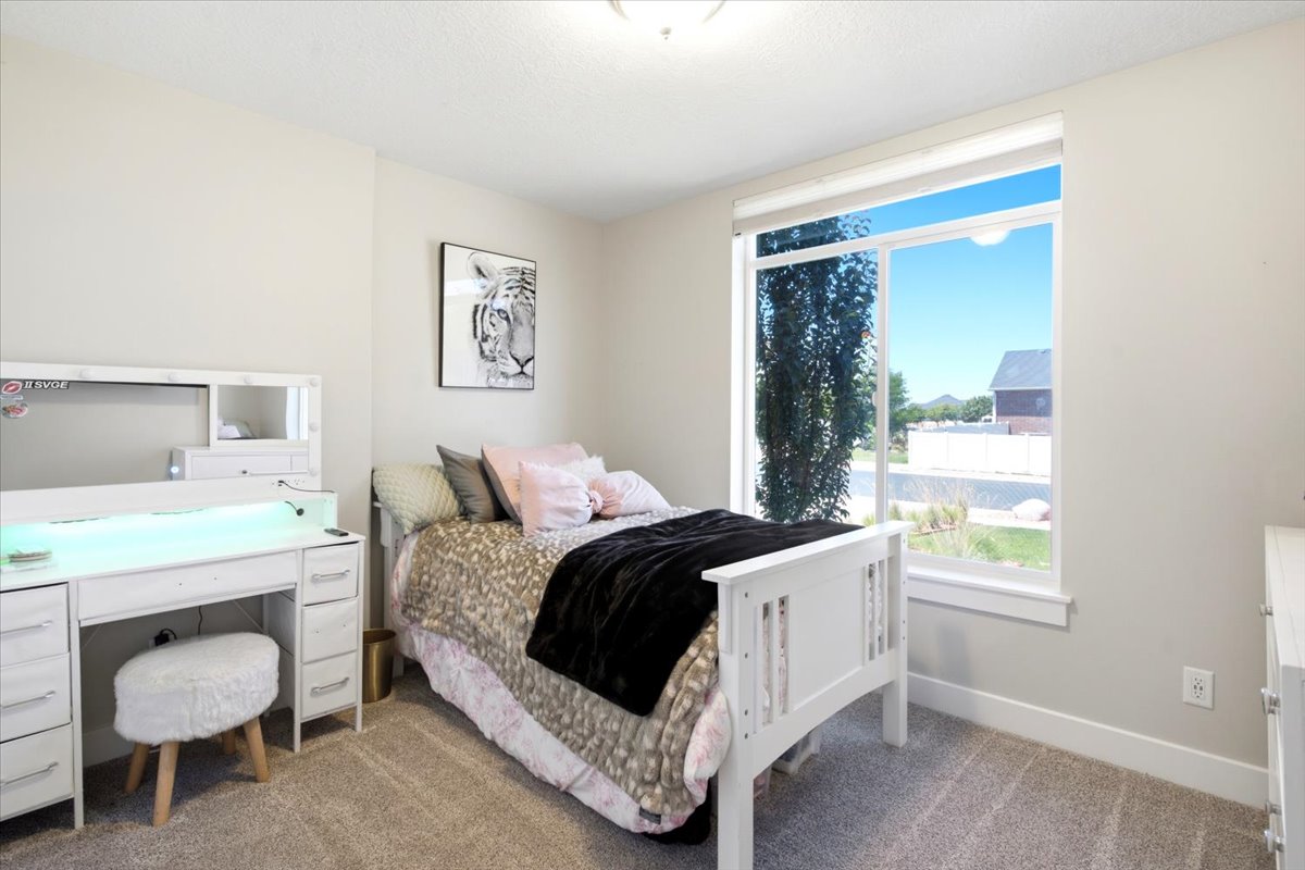 Carpeted room with a large window featuring a white frame and roller shade