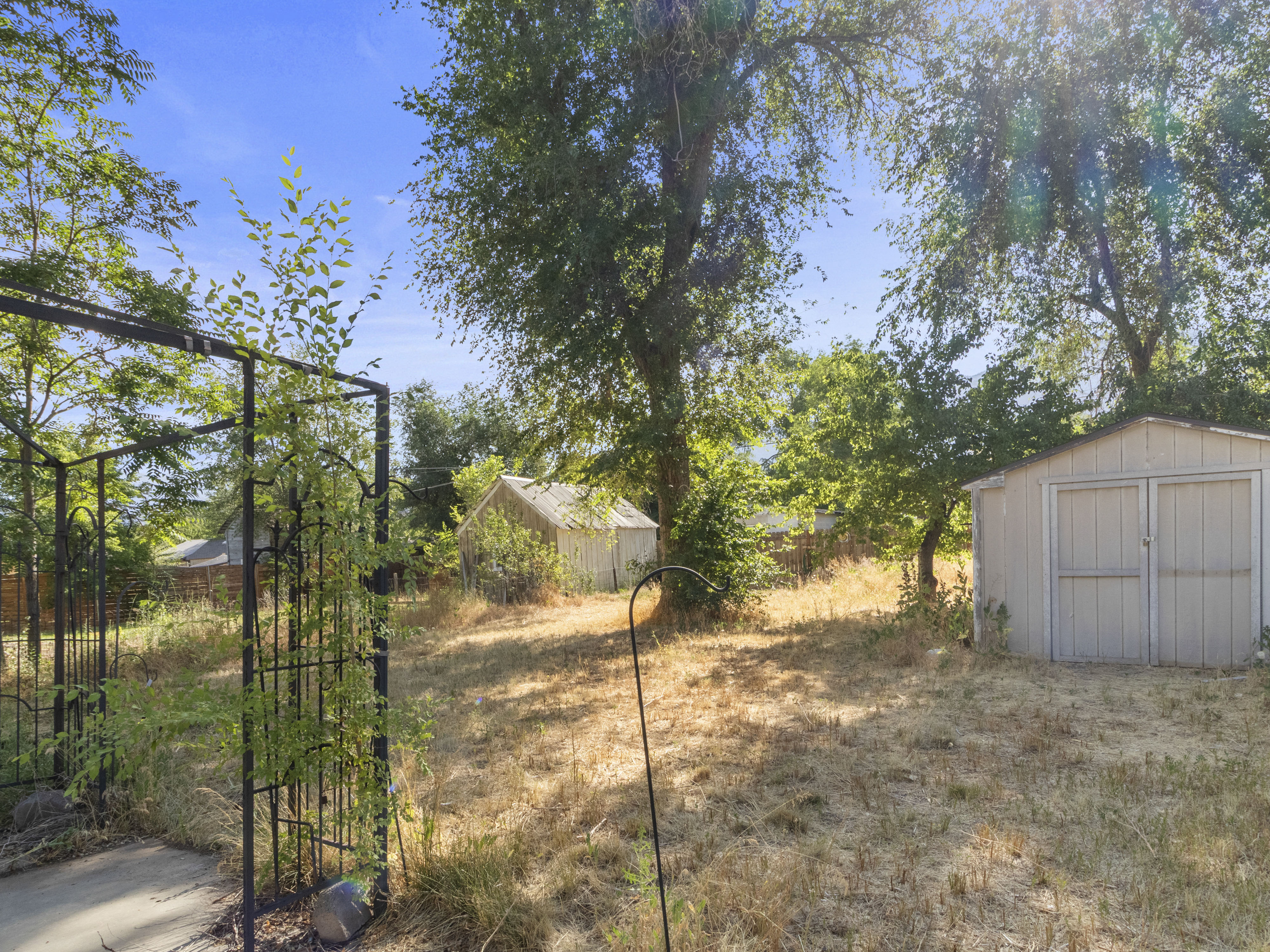 Expansive backyard featuring mature trees, a metal storage shed, and an additional smaller outbuilding