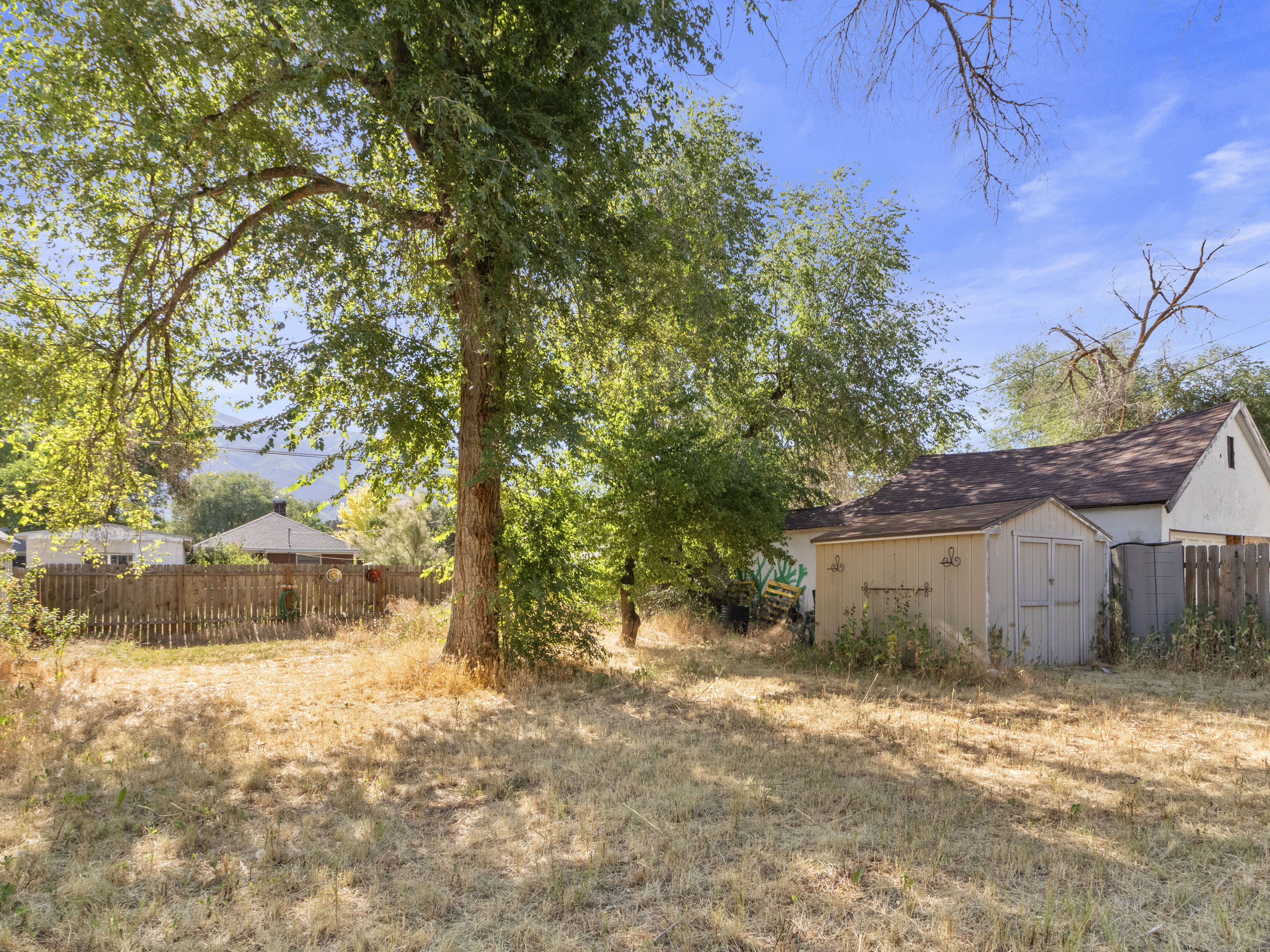 Expansive outdoor space featuring a large mature tree, a storage shed, and perimeter fencing