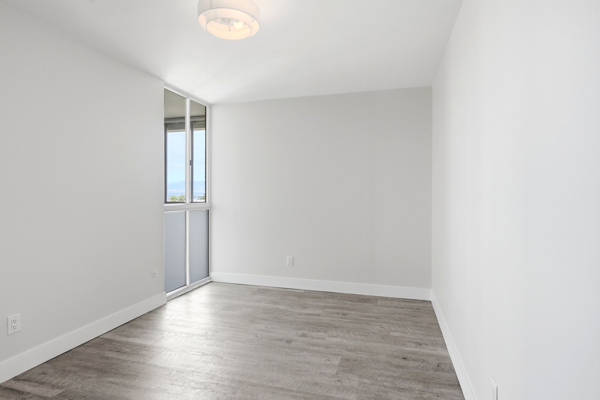 Spacious room featuring wood-finish flooring, white baseboards, and light gray walls
