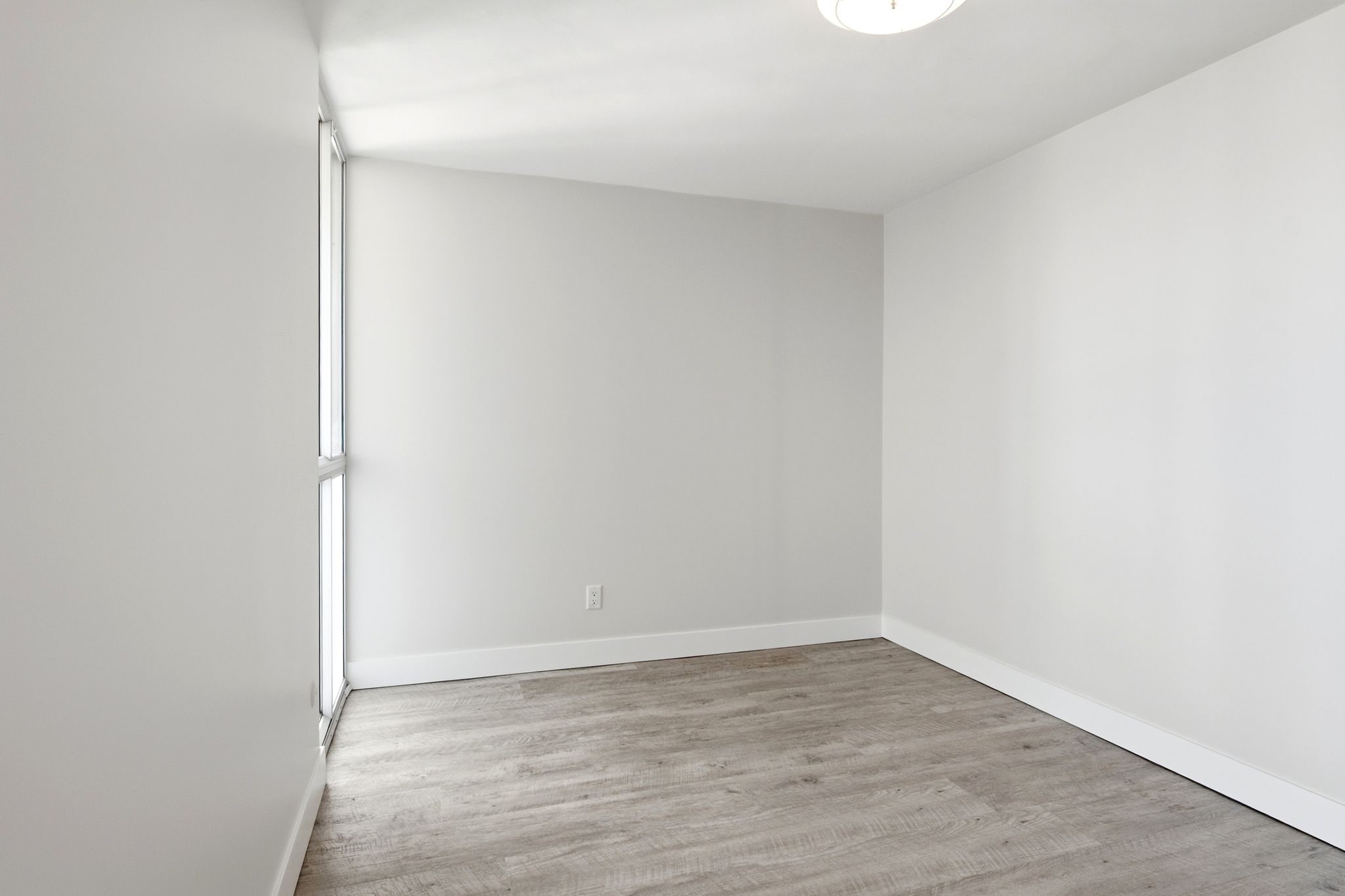 Bright room with light gray walls, wood-finish flooring, a contemporary flush-mount ceiling light, and a tall vertical window