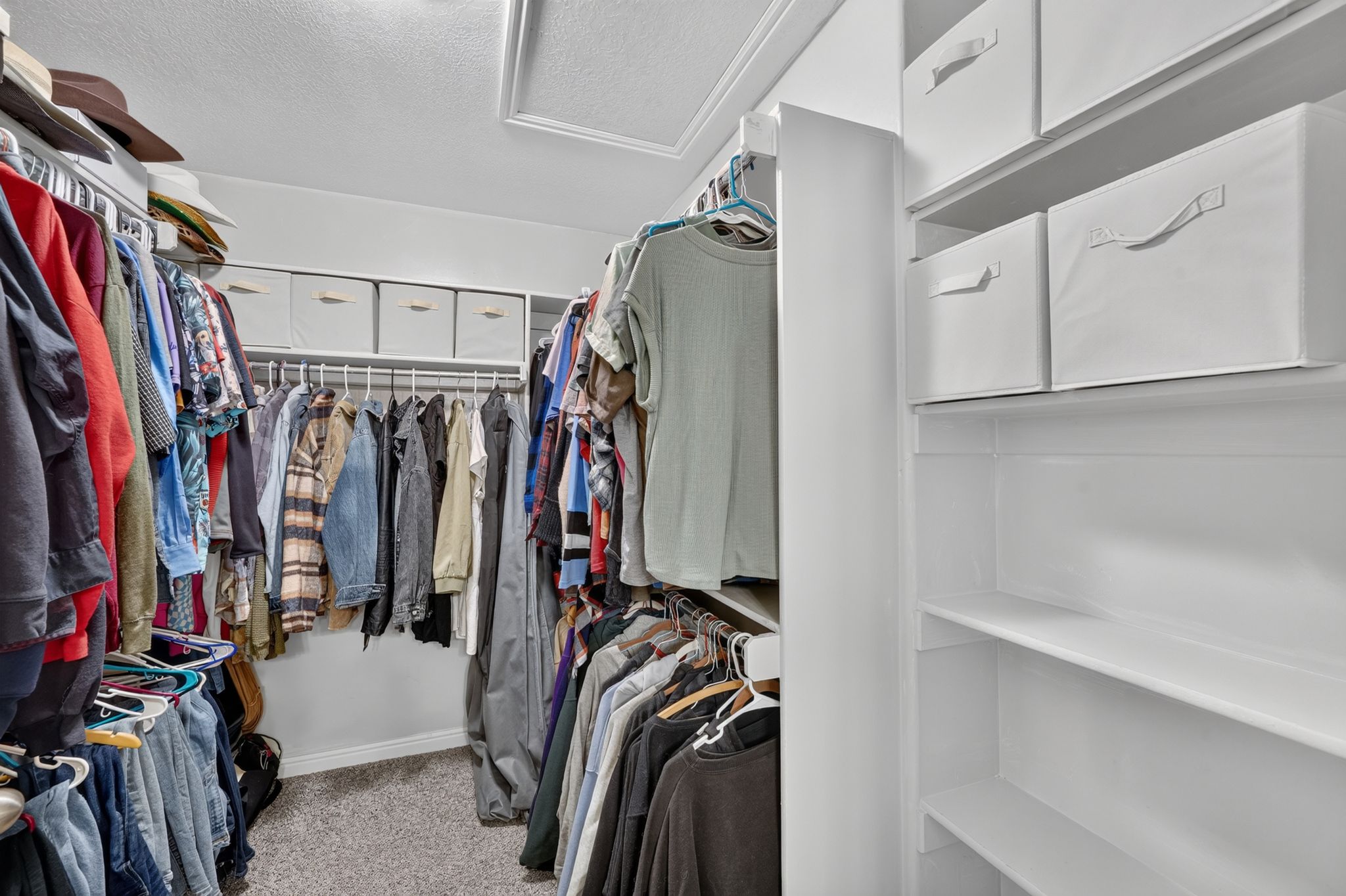 Walk-in closet featuring carpet flooring, white wire shelving, built-in white shelving, and a ceiling access panel