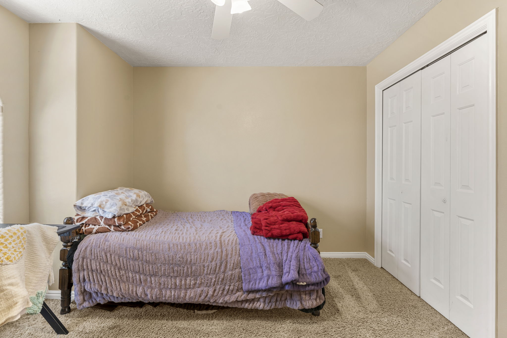 Neutral-toned walls complement the textured carpet flooring