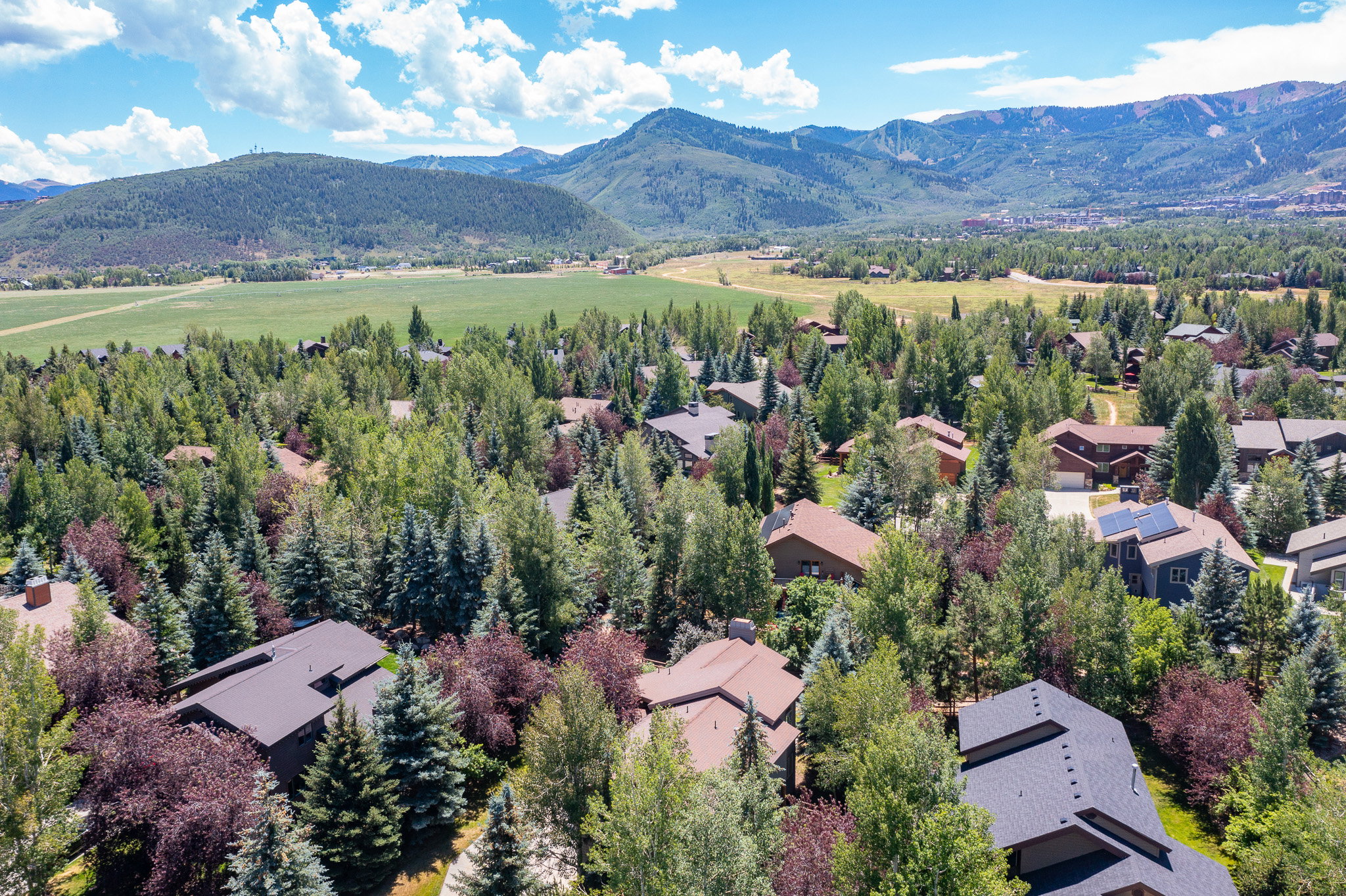Expansive aerial perspective showcasing a residential area surrounded by abundant mature trees and a distant mountainous backdrop