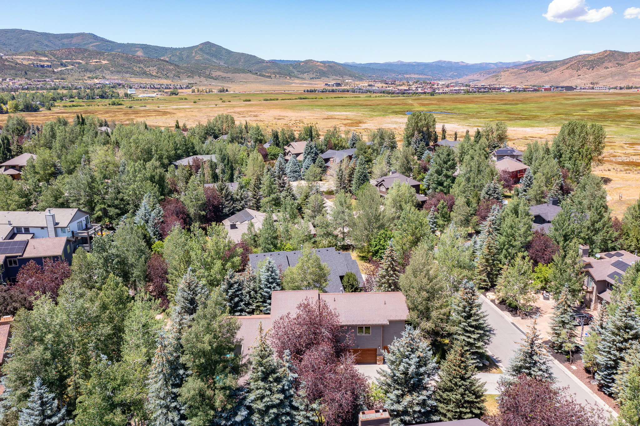 Aerial perspective showcasing a residential neighborhood with abundant mature trees and mountainous backdrops