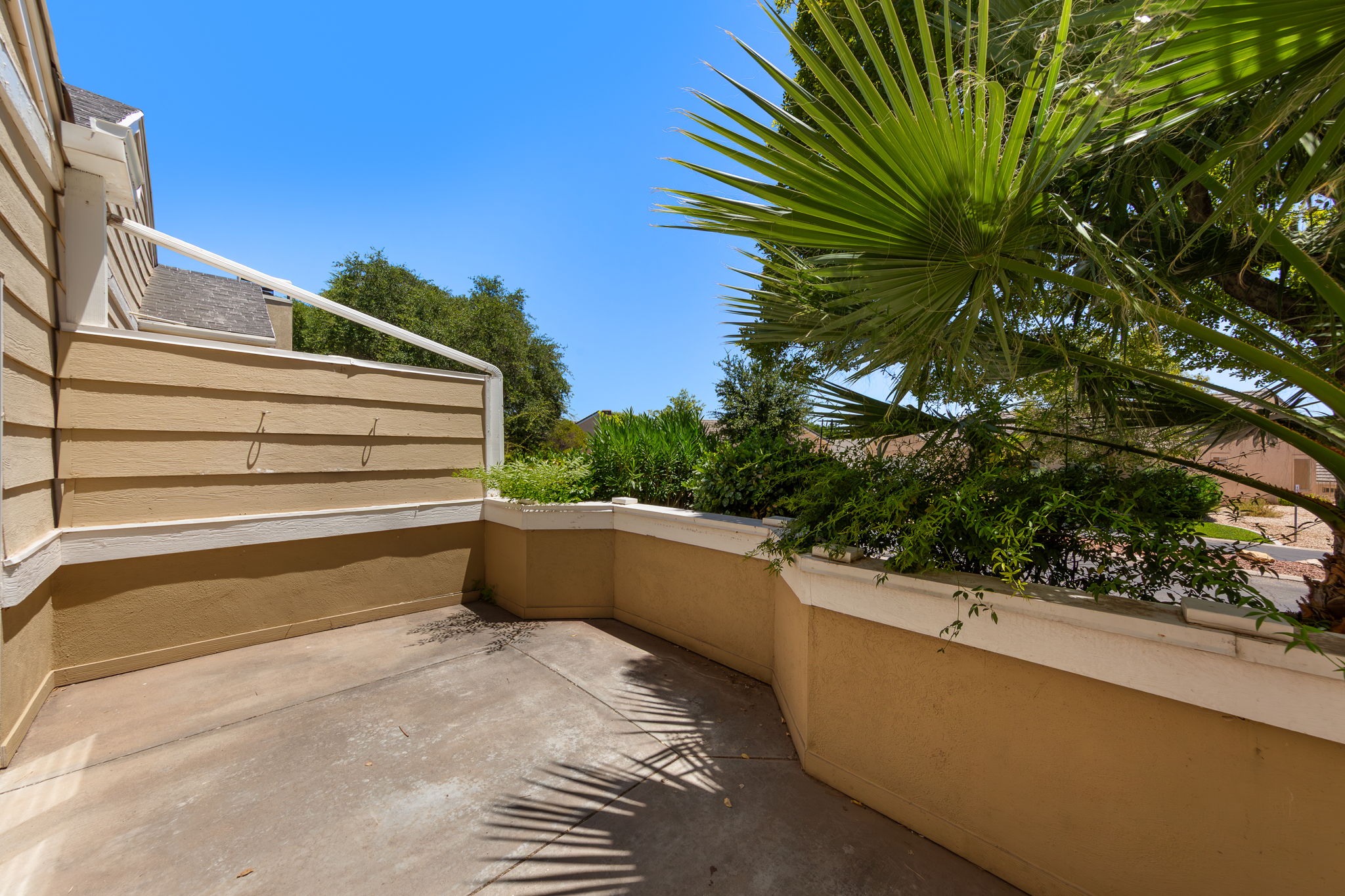 Outdoor patio featuring a concrete surface, privacy wall, and mature palm foliage