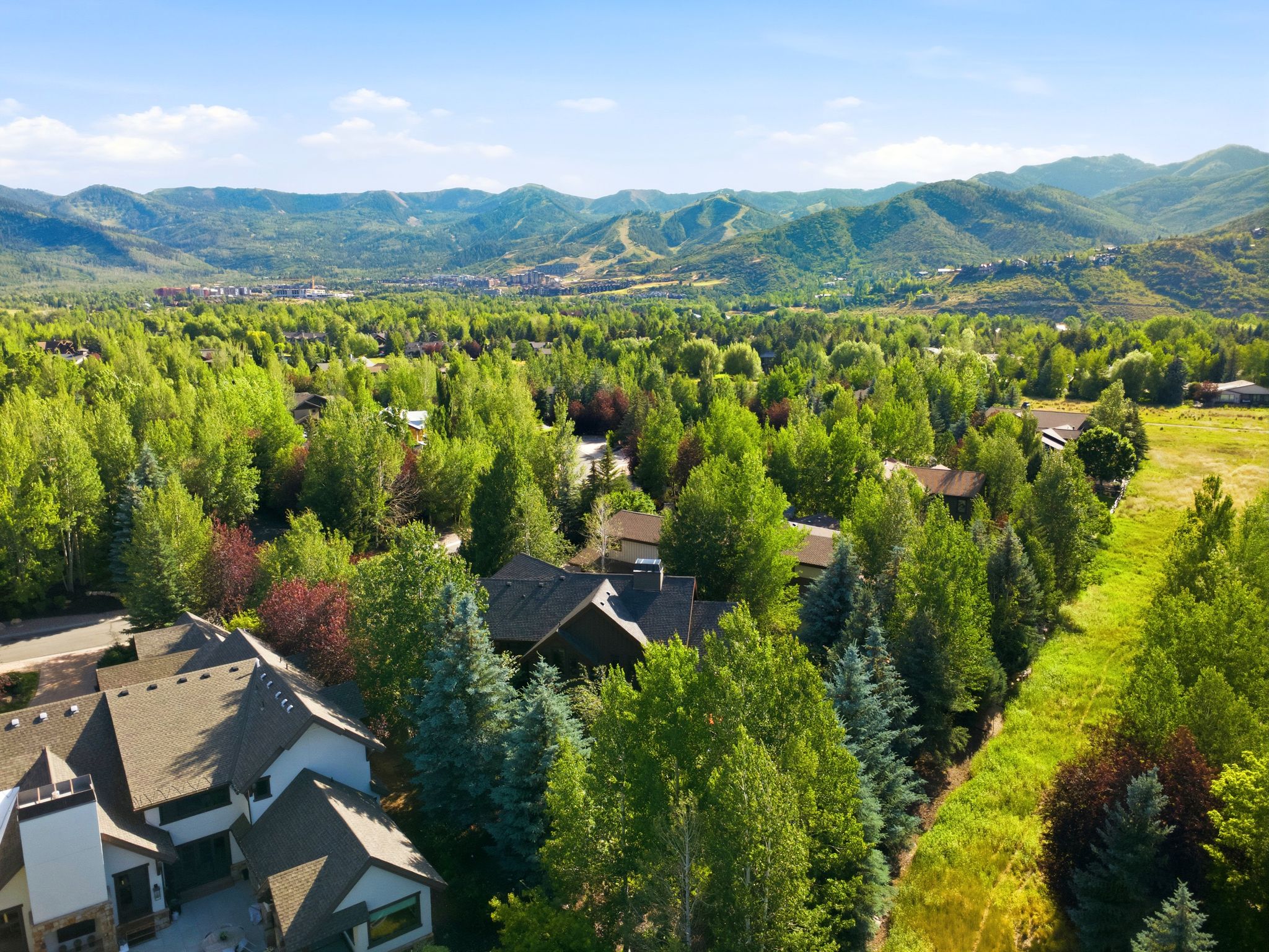 Aerial perspective showcasing a residential property nestled among lush green trees, with distant mountains forming a natural backdrop