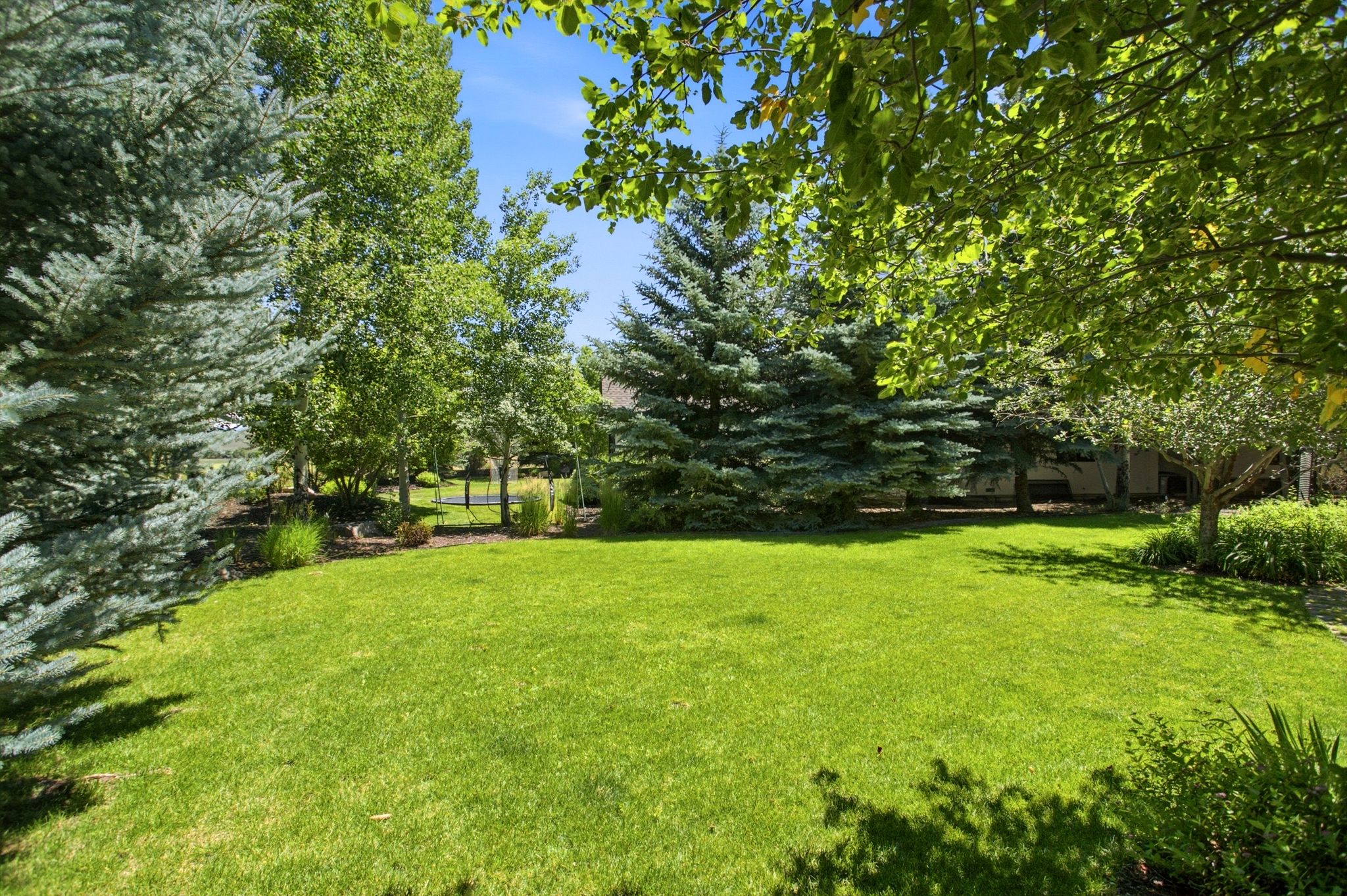 Expansive green lawn surrounded by mature trees, including evergreen and deciduous varieties, with landscaped garden beds