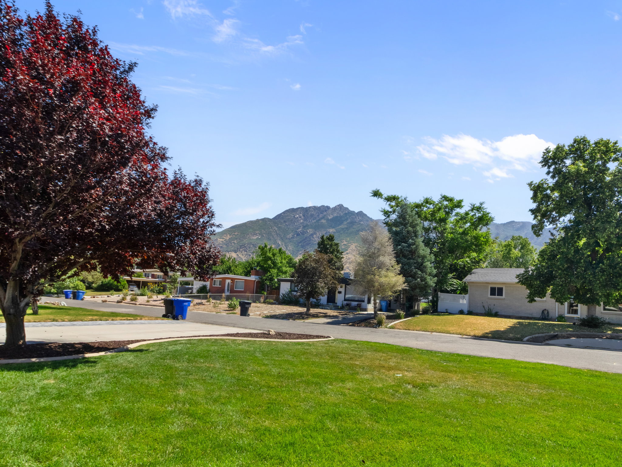 Expansive green lawn with mature trees and mountain backdrop