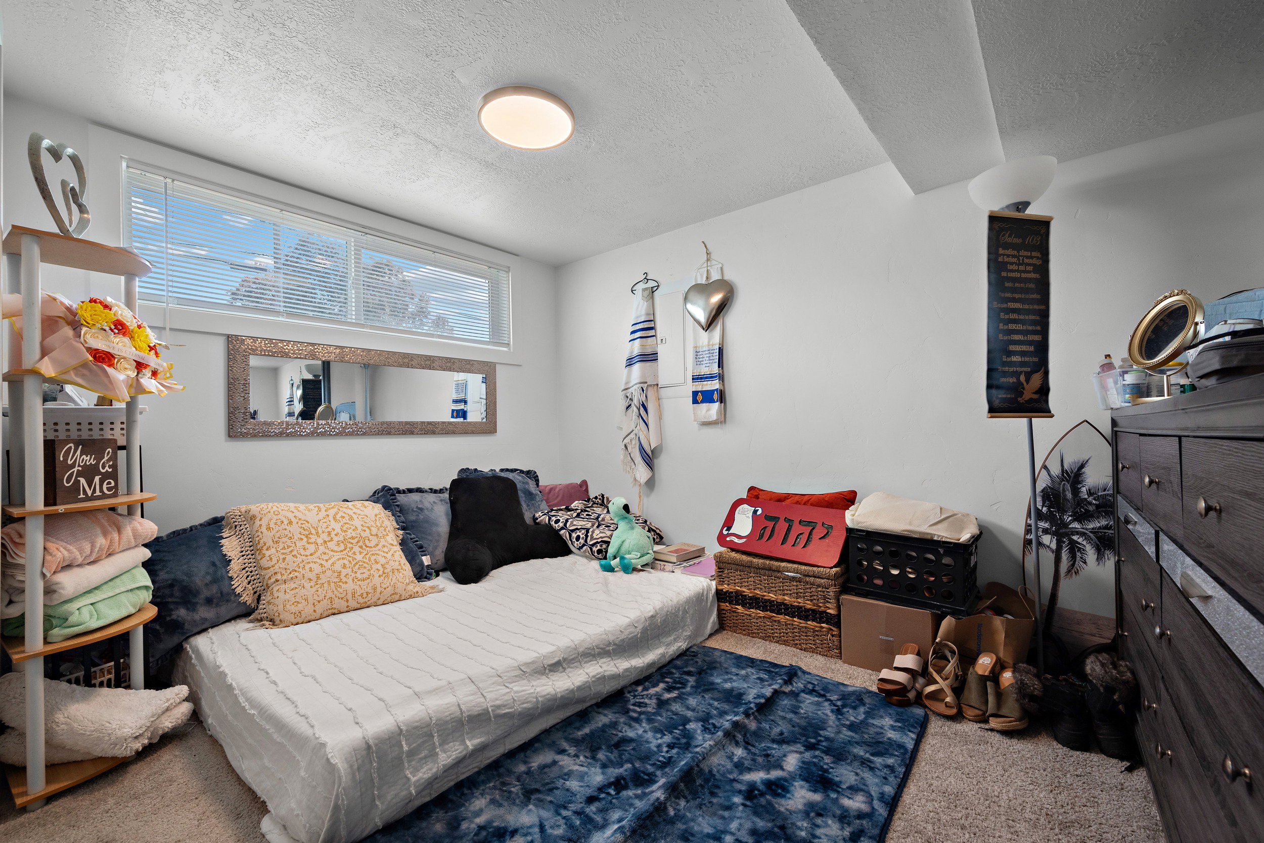 Carpeted room featuring a white ceiling and walls with multiple windows providing natural light