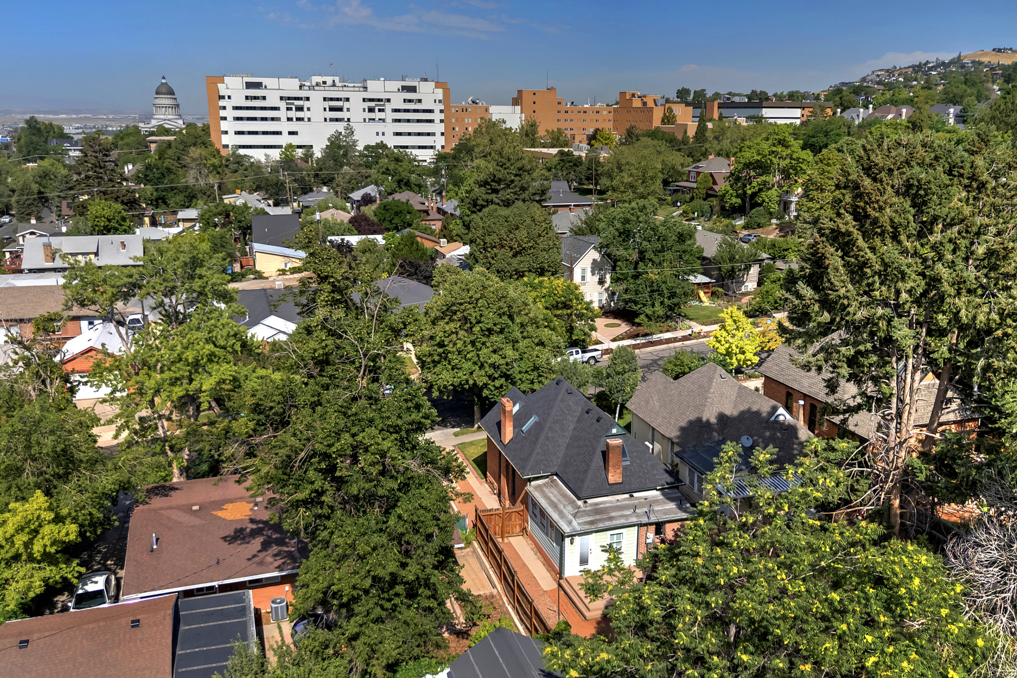 Elevated neighborhood perspective with mature trees, showing varied rooflines and surrounding structures