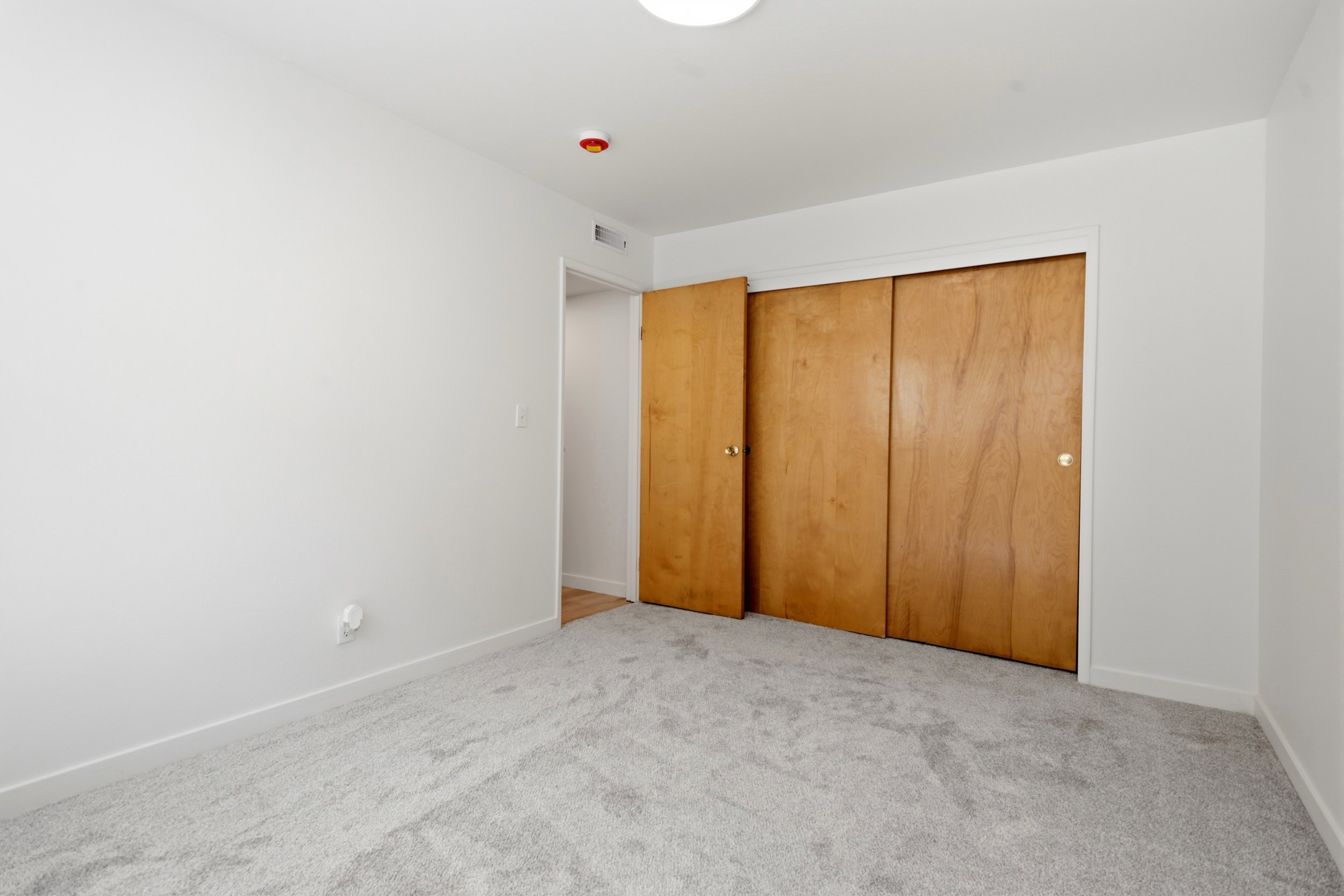 Room featuring light gray carpeting, white painted walls, and light wood-finish closet doors