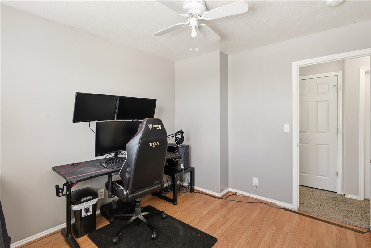 Light gray walls with white trim and wood-finish flooring