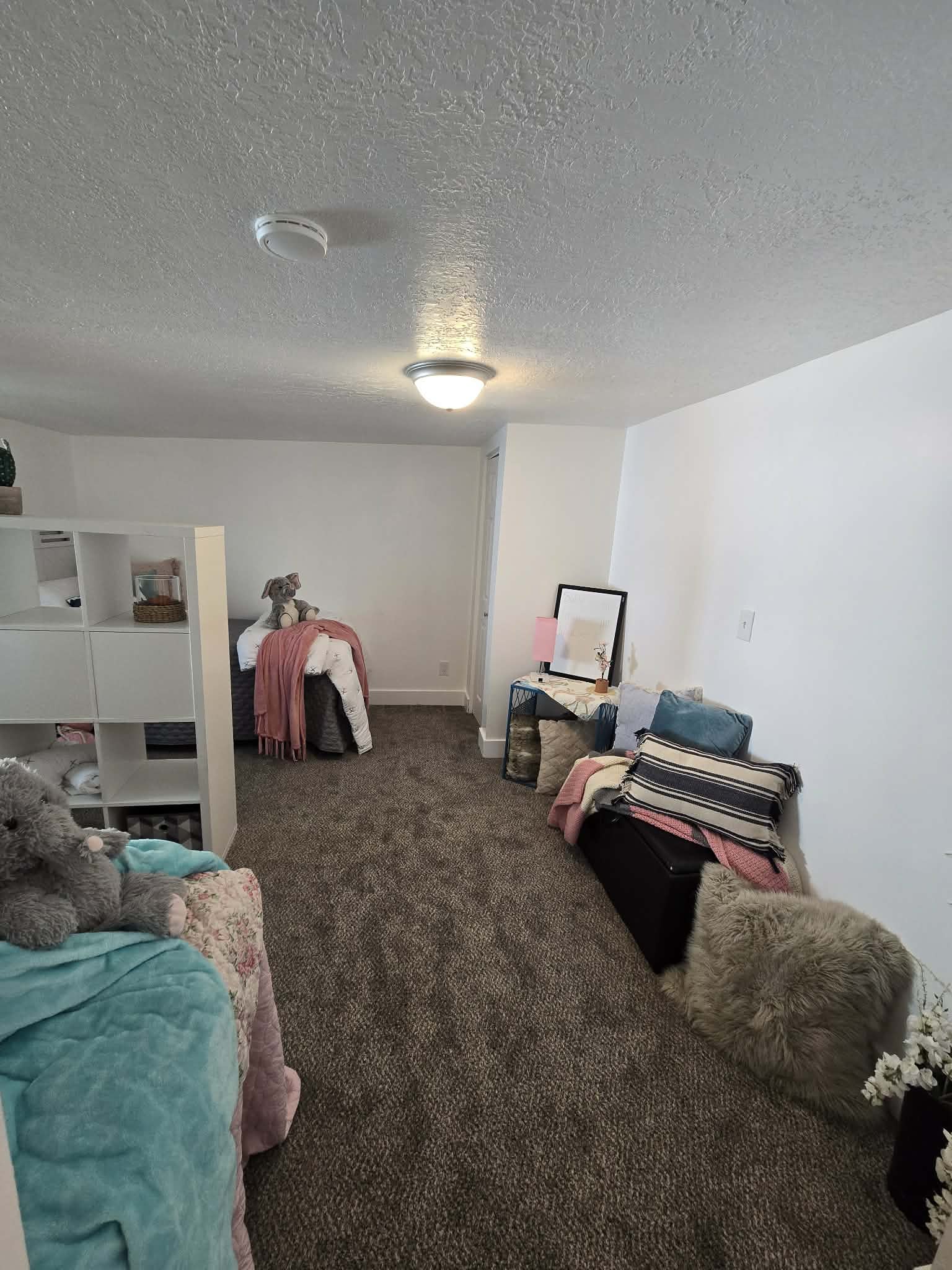 Carpeted interior space with white walls