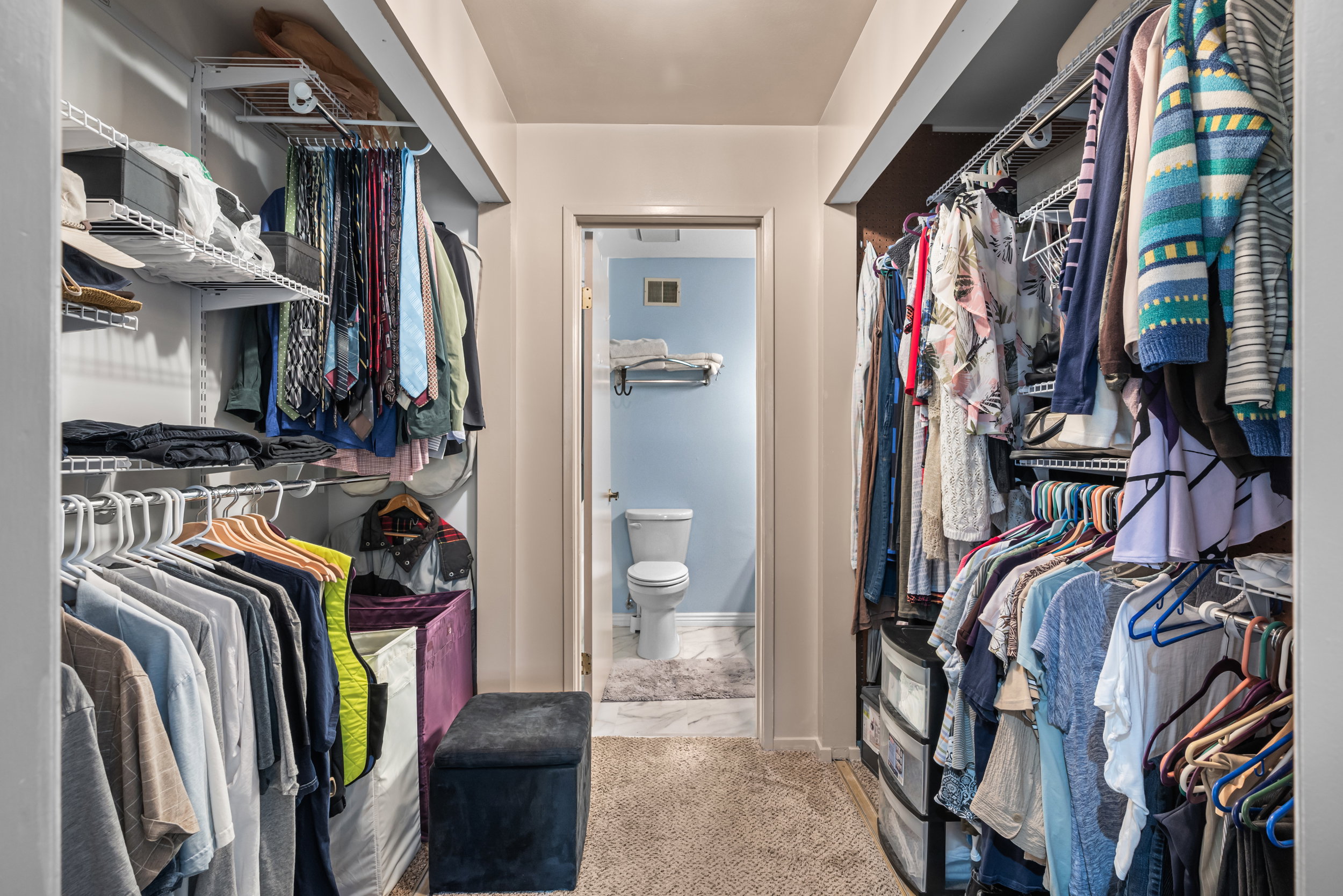 Walk-in closet featuring wire shelving systems, multiple hanging rods, and carpet flooring