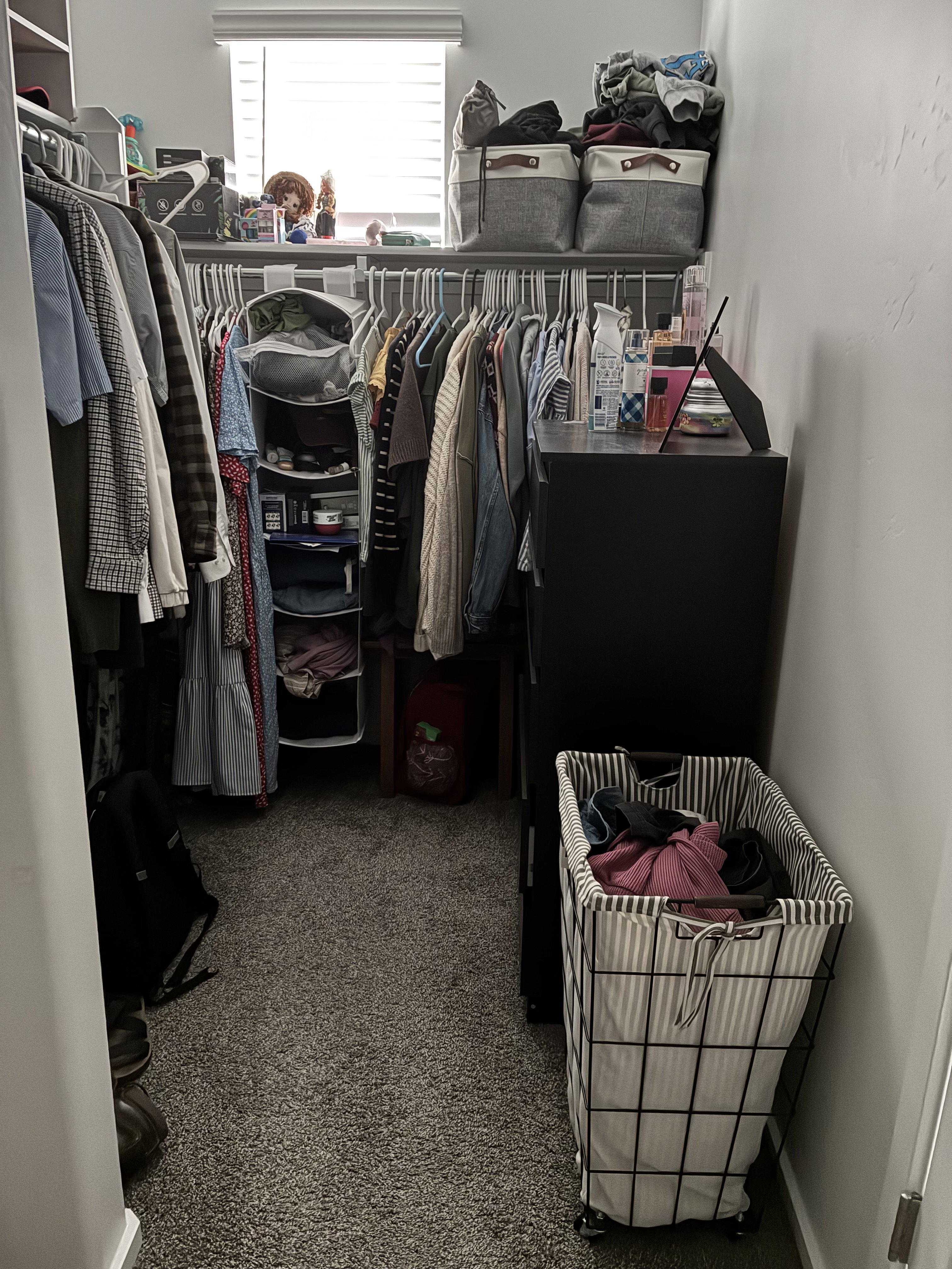 Walk-in closet featuring carpet flooring, built-in shelving, and a window with blinds