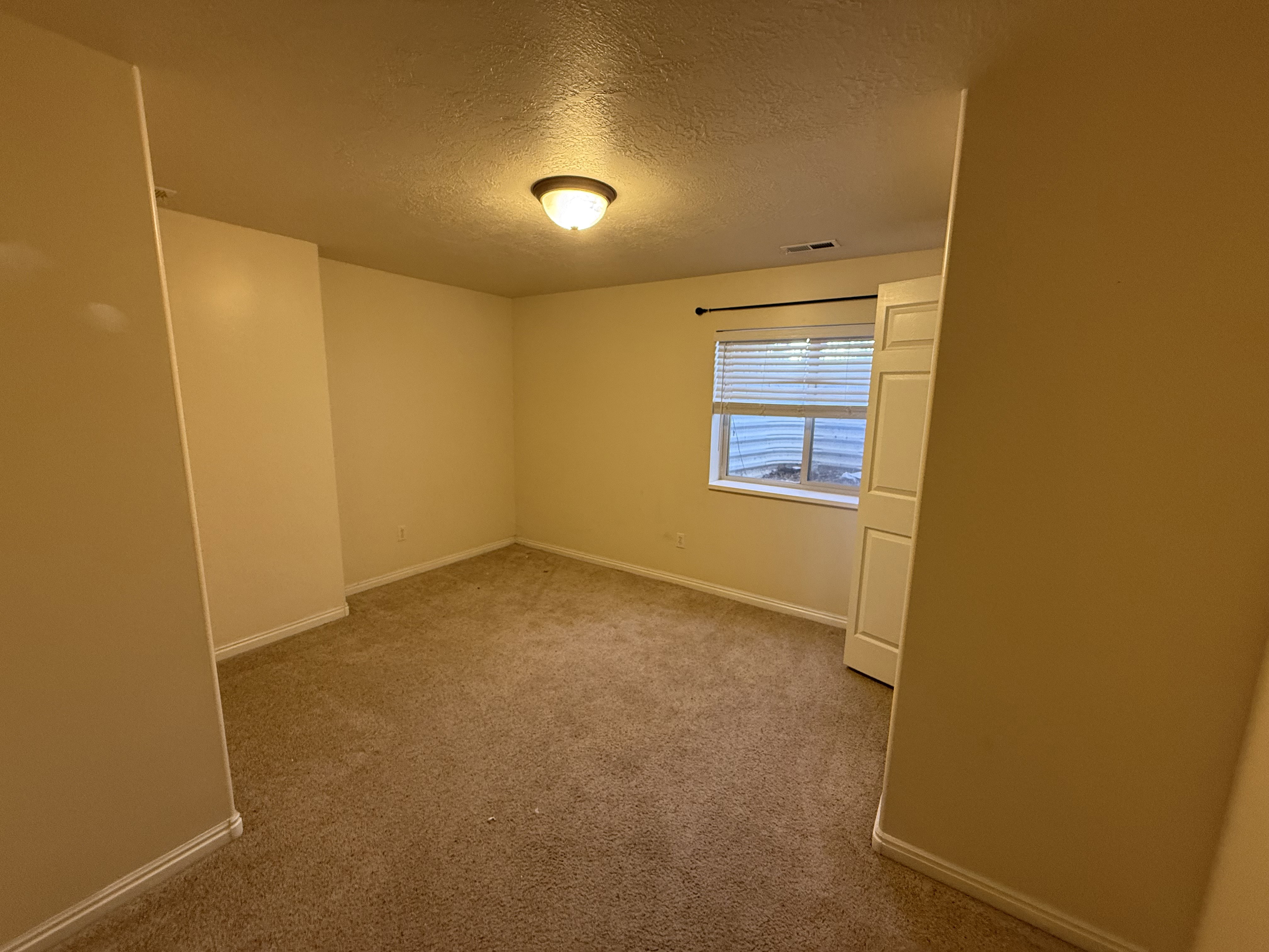 Carpeted room featuring a window with horizontal blinds, a flush-mount ceiling light fixture, and white trim molding