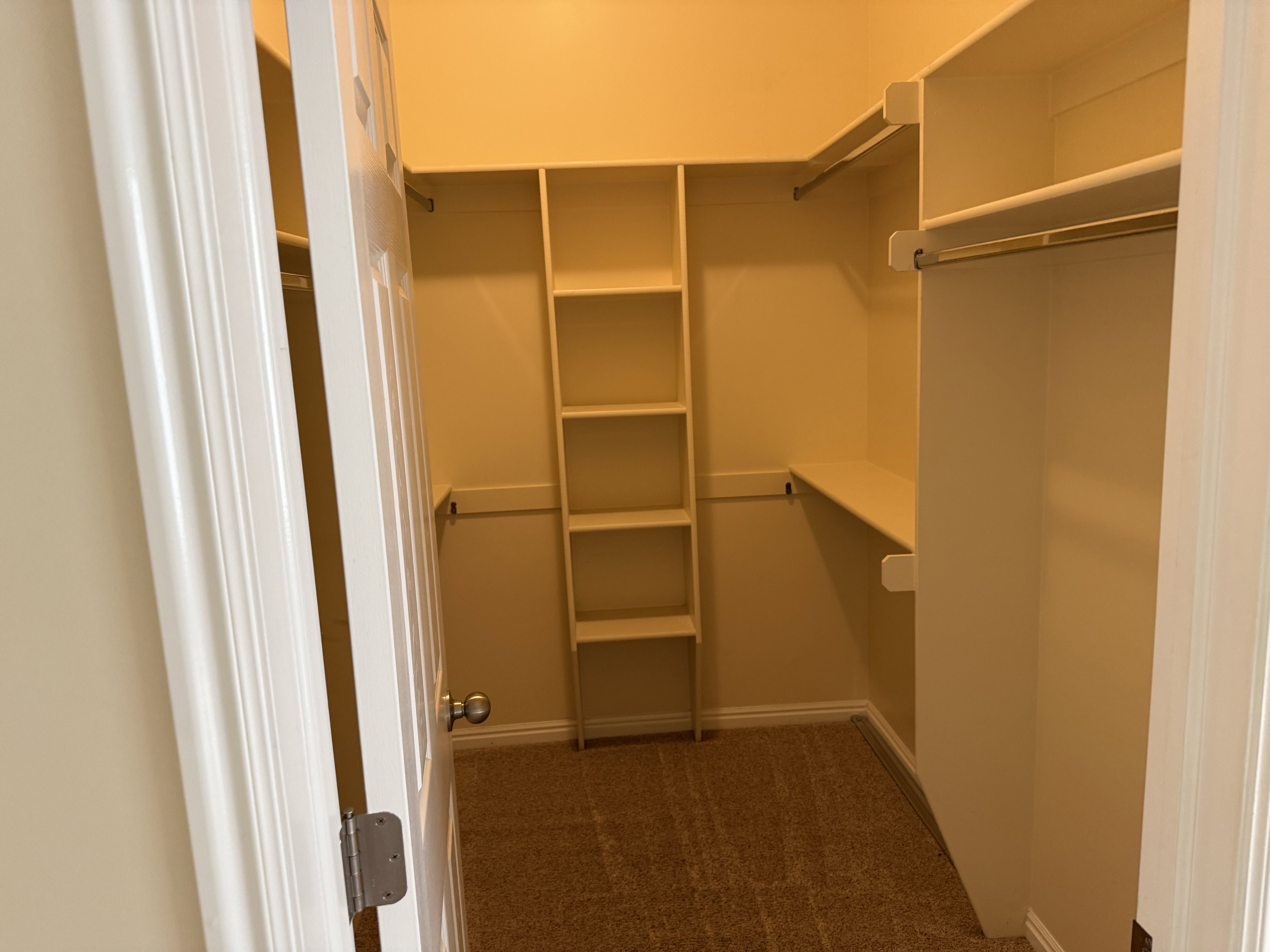 Walk-in closet featuring built-in shelving, hanging rods, and carpet flooring