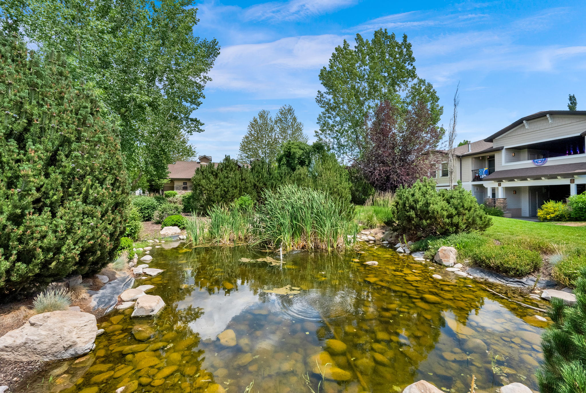 Natural rock-lined pond surrounded by dense green landscaping