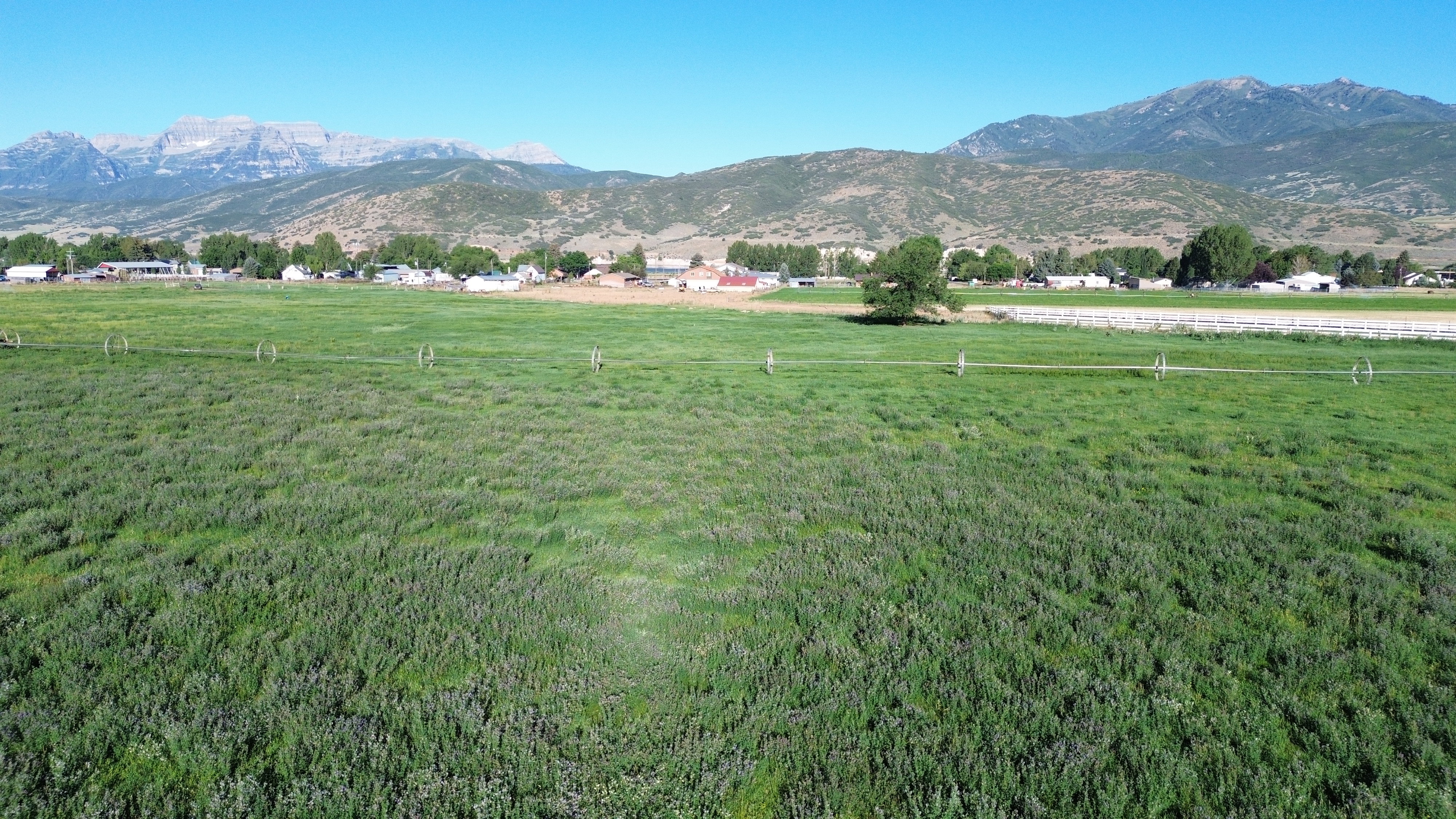 Expansive green field with mountain backdrop