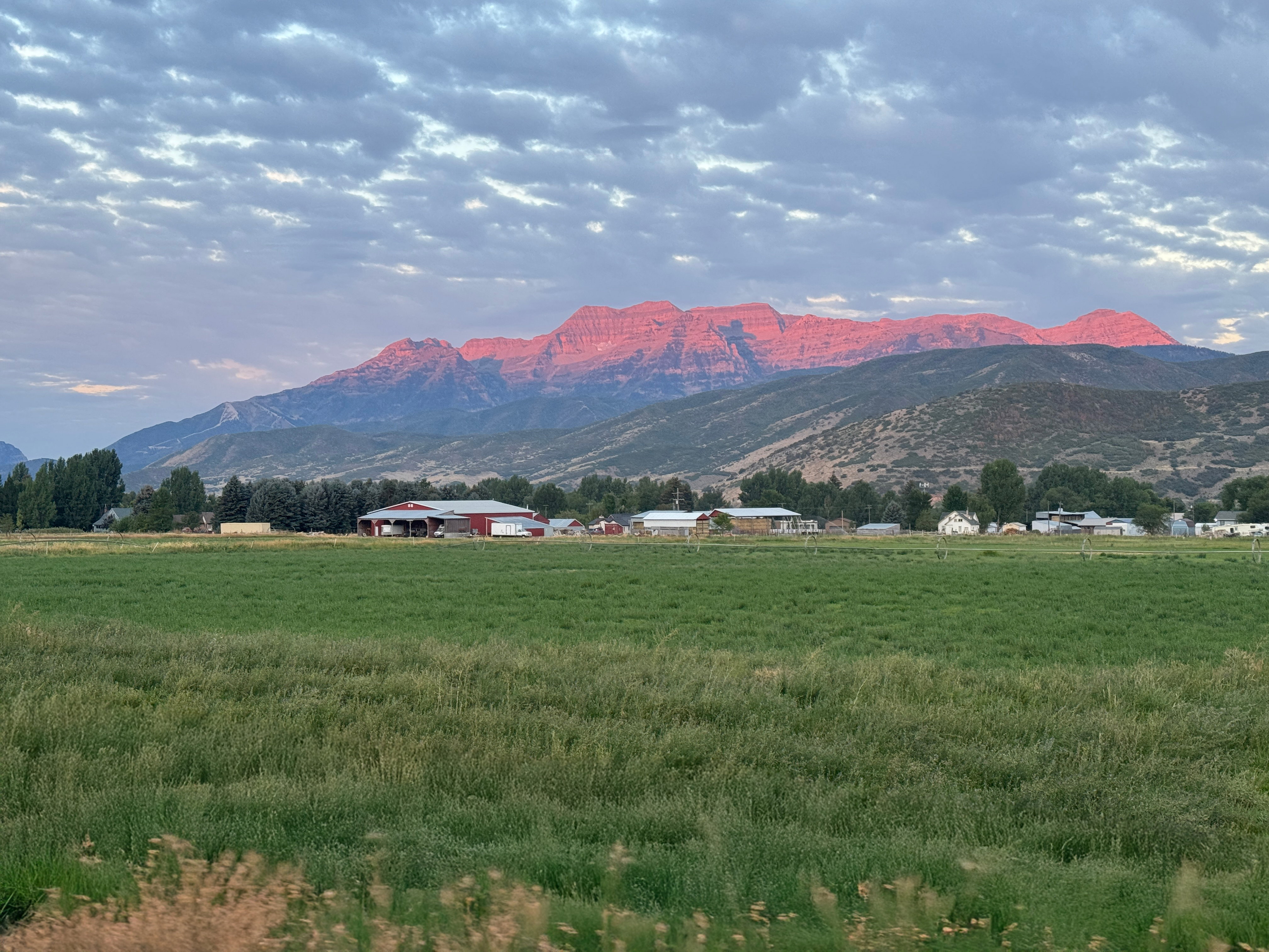 Expansive green field with distant red-hued mountains