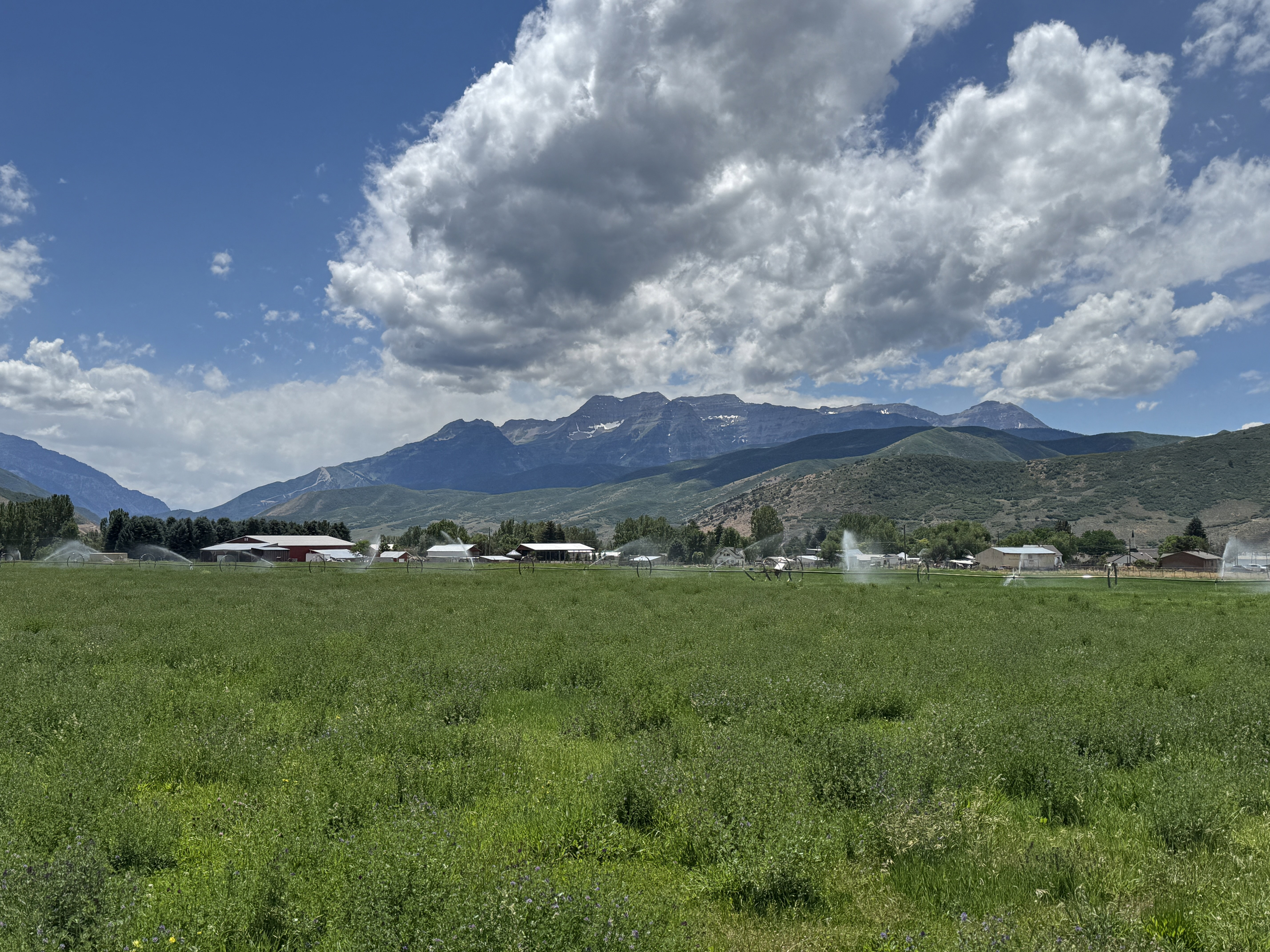 Expansive green field with active sprinkler system, framed by distant mountains and a partially cloudy sky