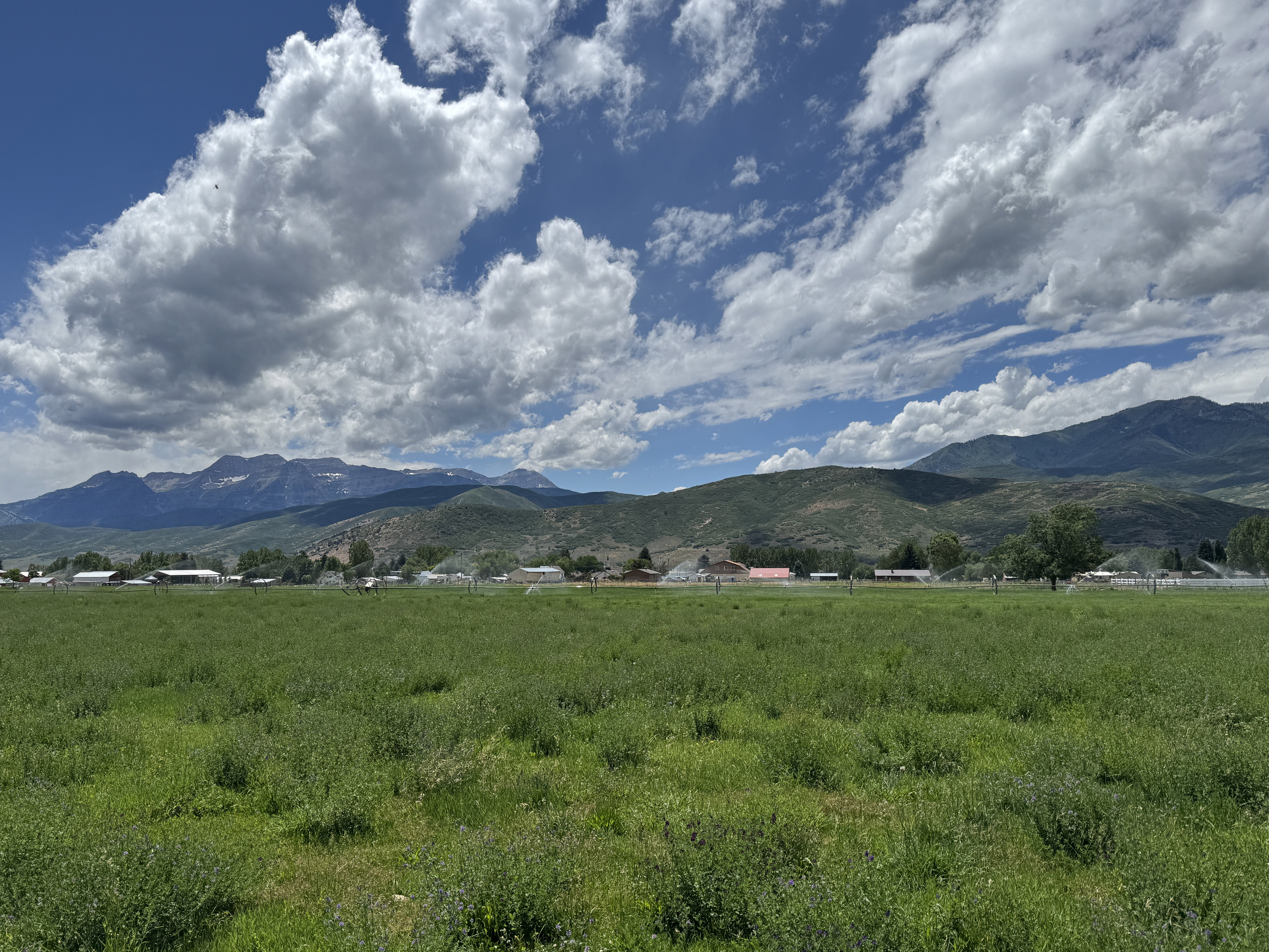 Expansive green field under a broad sky with cloud formations