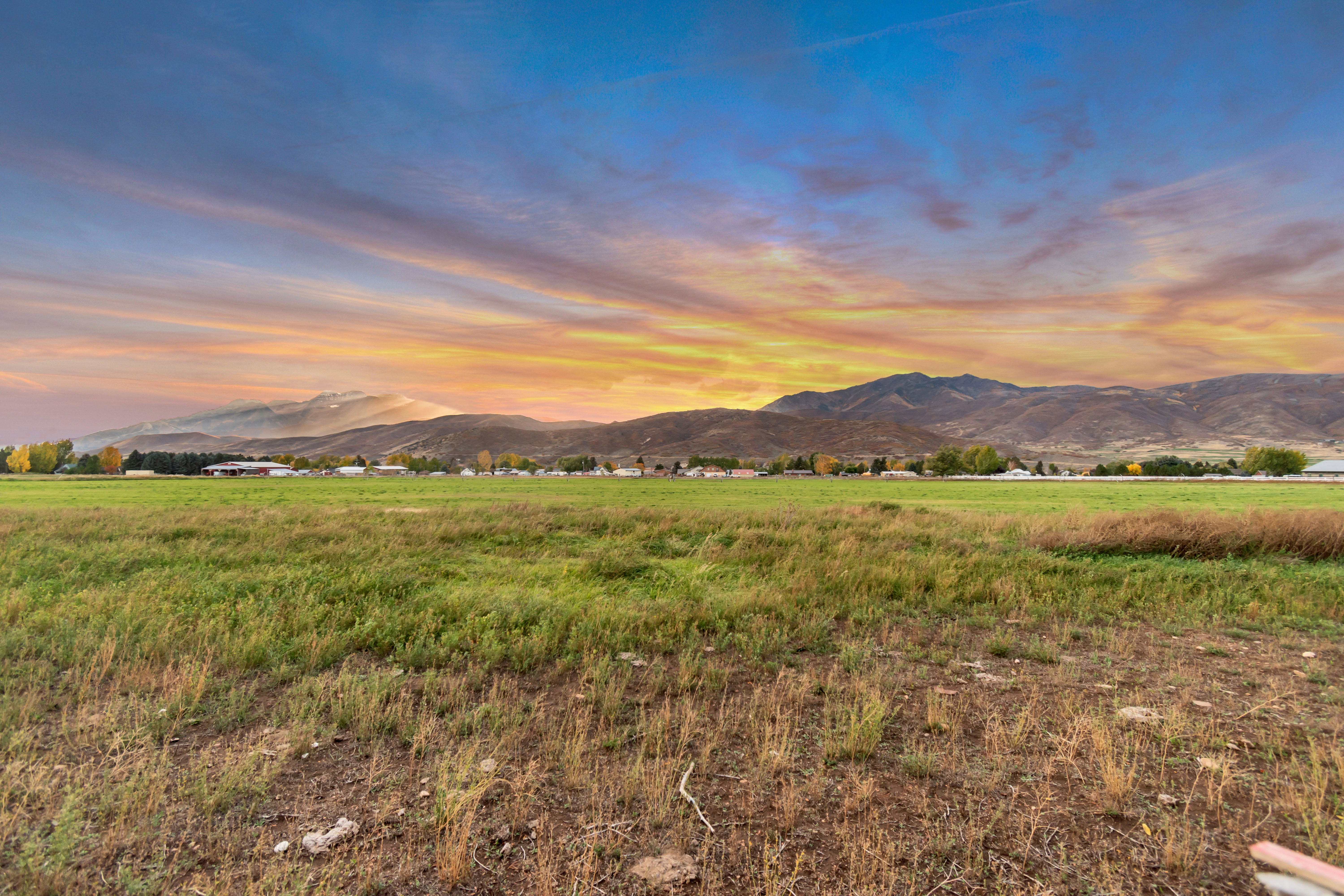 Expansive green field with distant mountain range