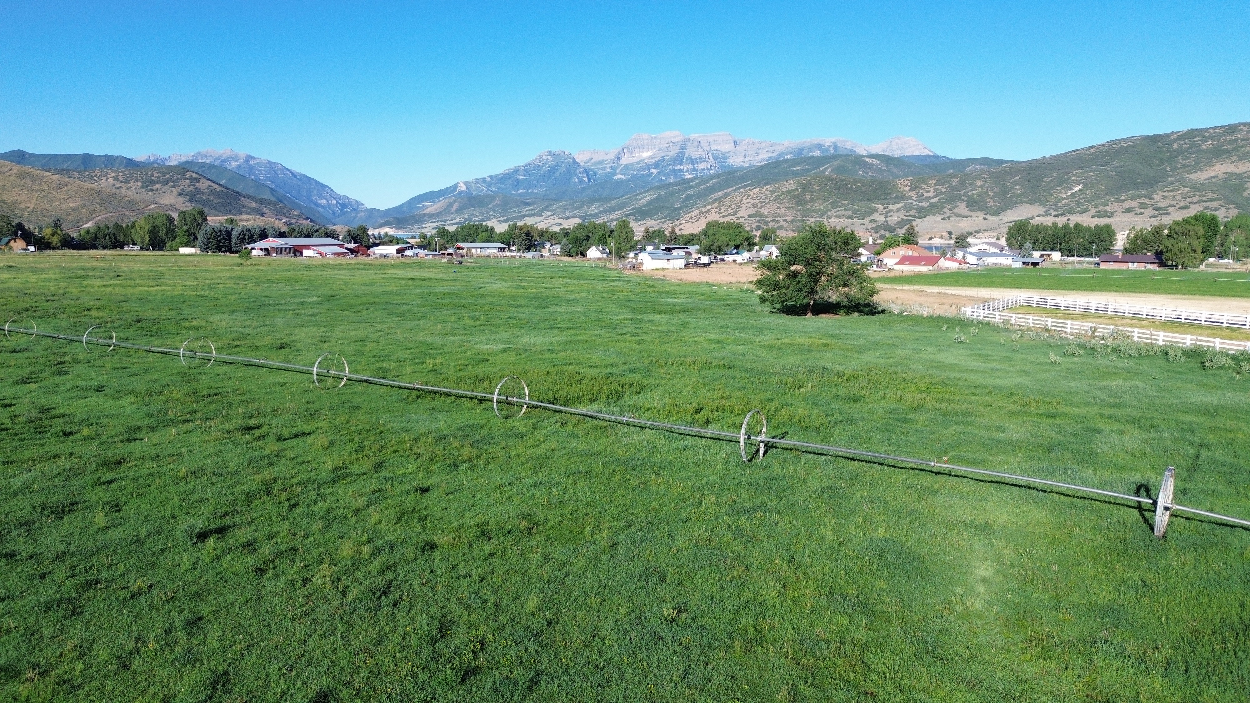 Expansive green acreage with irrigation system, bordered by a white fence and mature trees